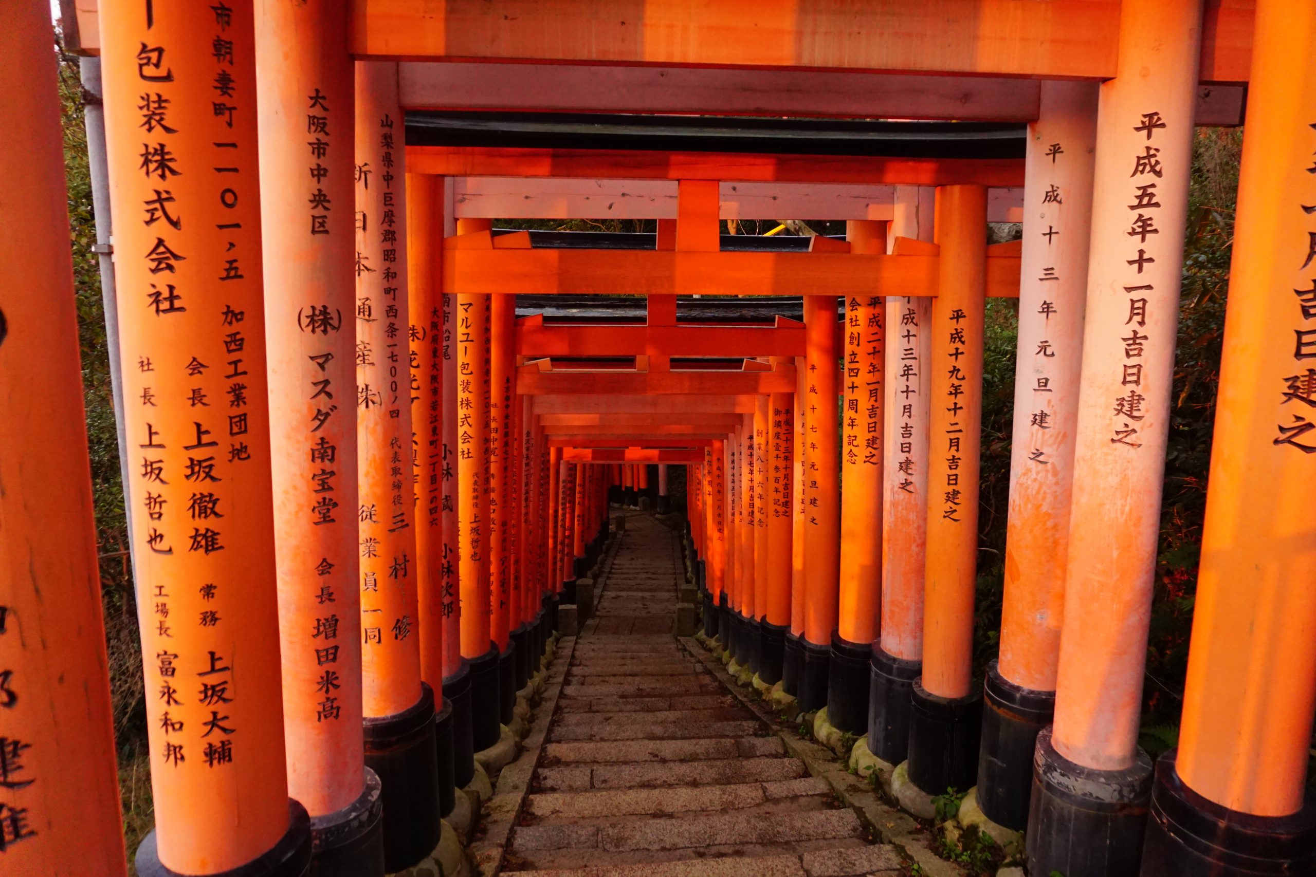 Large torii at Fushimi inari shrine bathing in sunlight