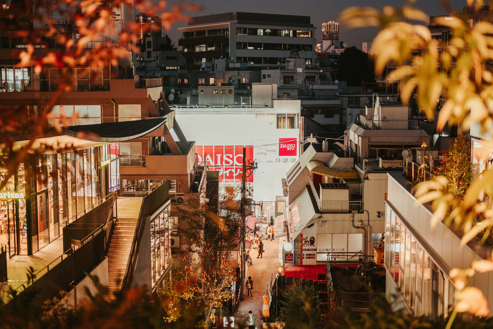 Largest Daiso in Tokyo - Harajuku