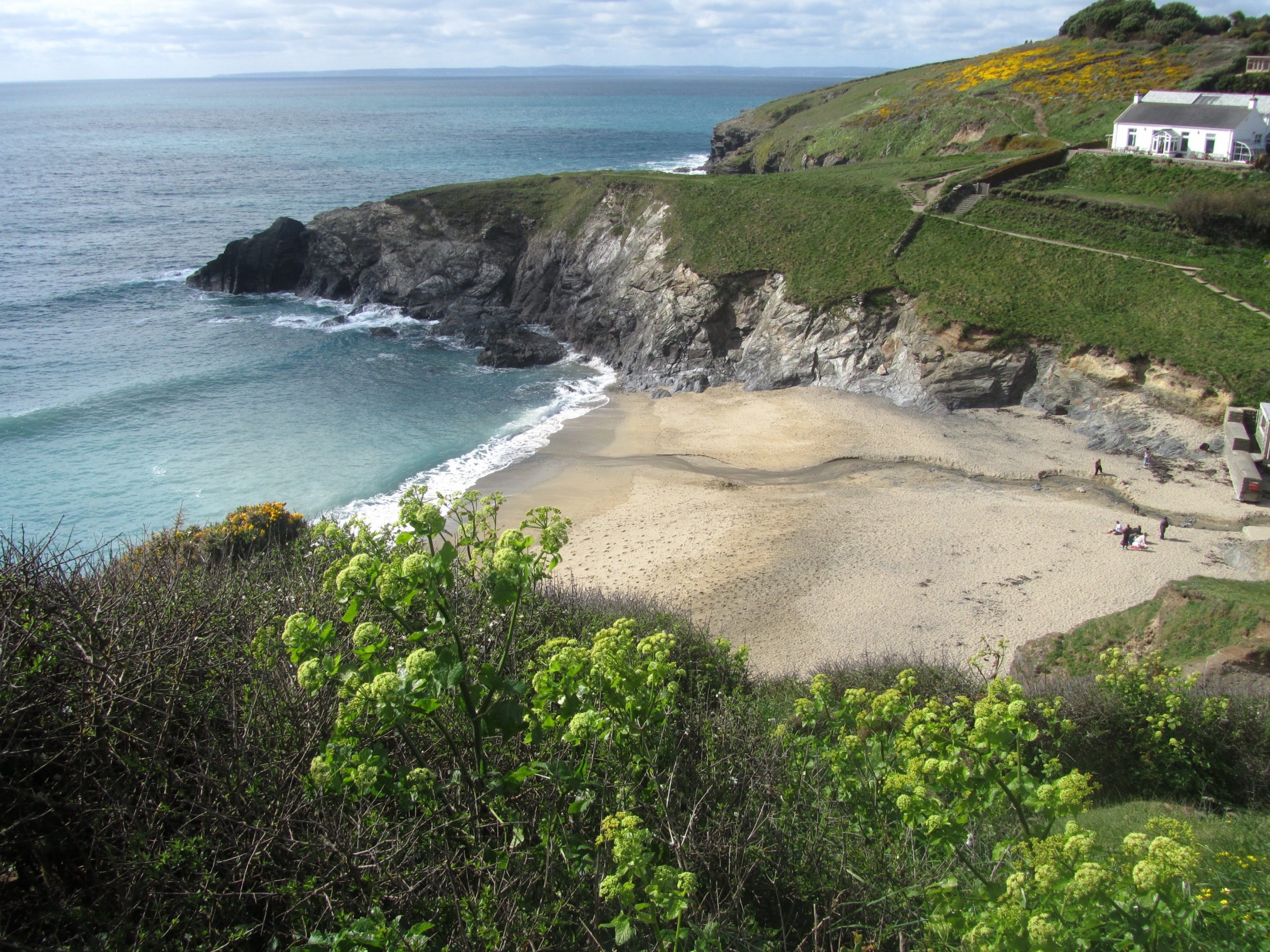 Lizard Peninsula