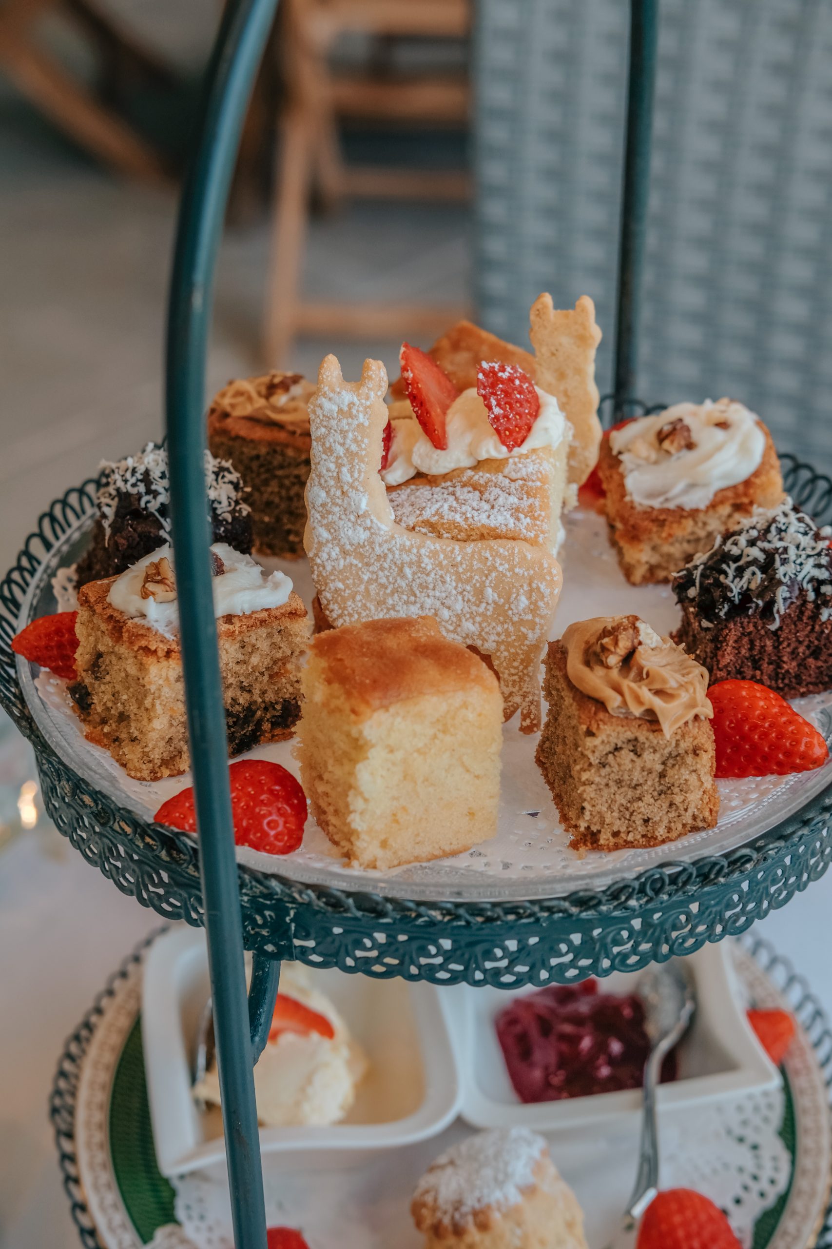 Llama themed afternoon tea in Gloucestershire