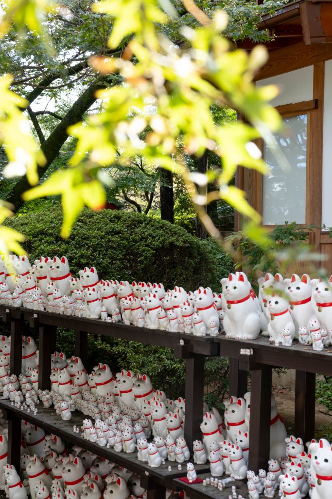 Lucky cat figurines on outdoor wooden shelves at Gotokuji temple