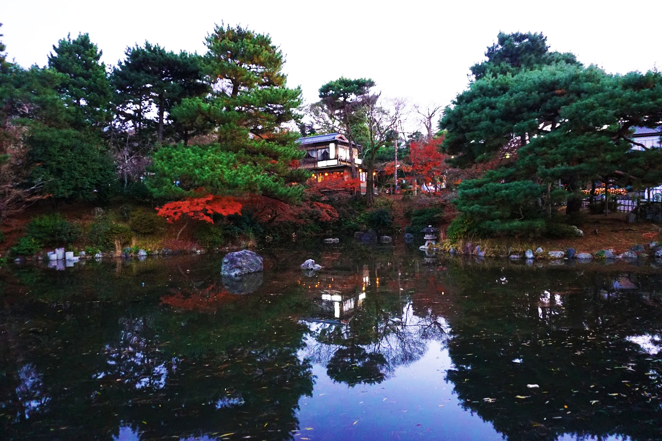 Maruyama Park Pond in the autumn