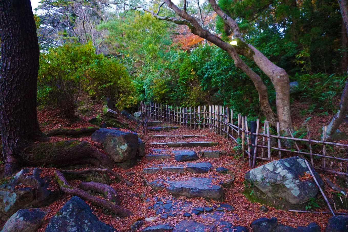 Maruyama Park