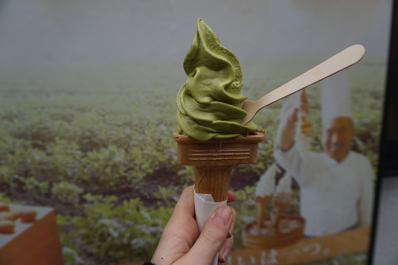 Matcha Ice Cream bought in Kyoto from an artisan