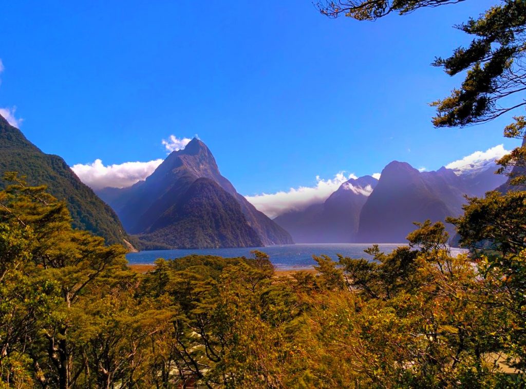 Milford Sound Landscape