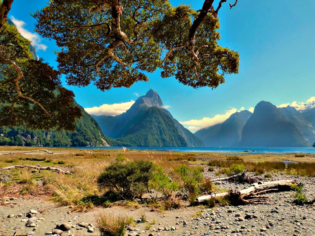 Milford Sound NZ