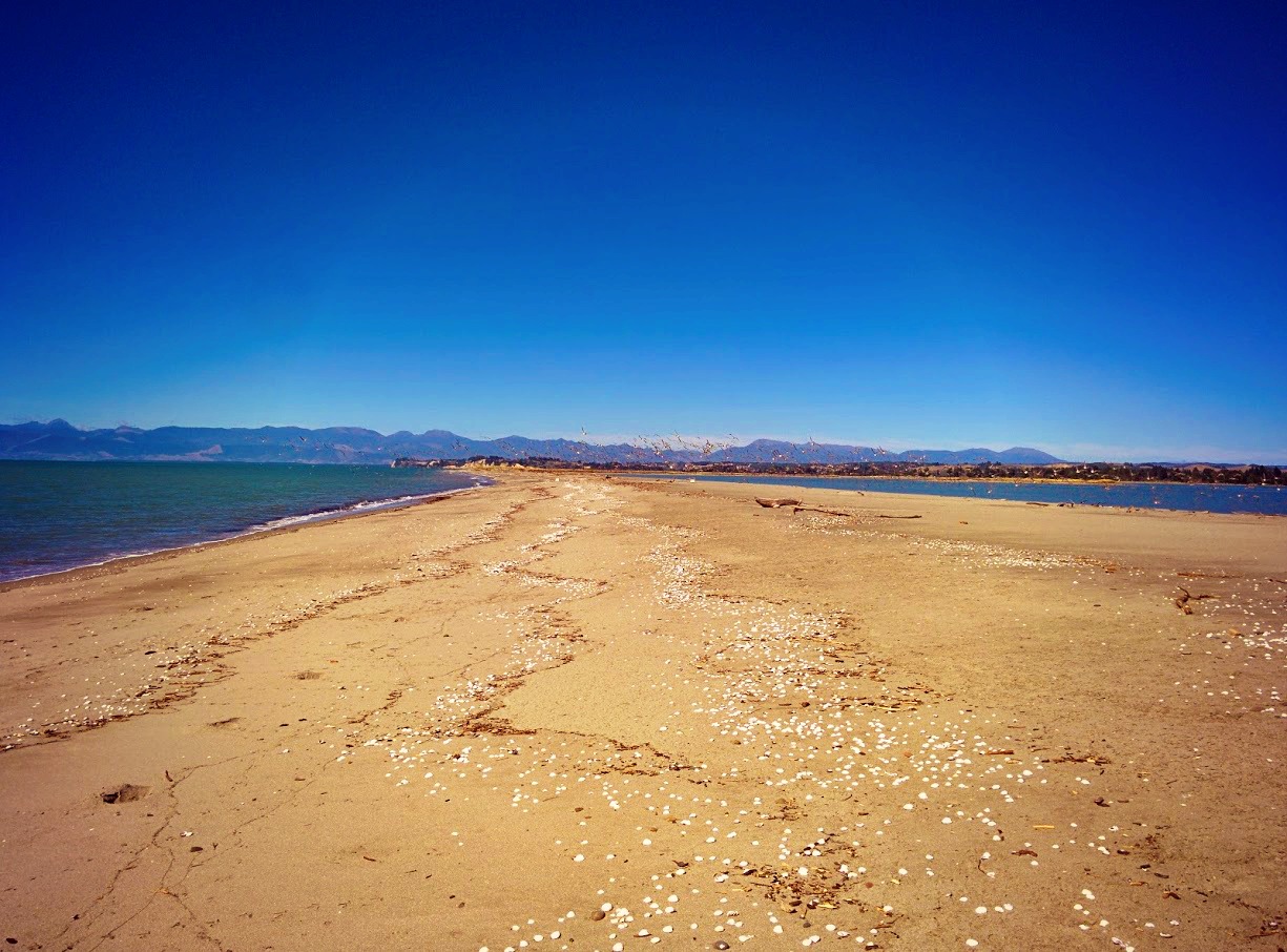 Motueka Bird Sanctuary