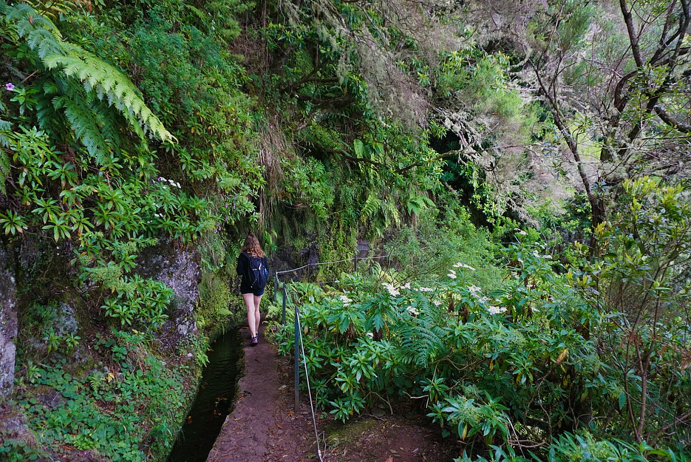 Madeira Caldeiro Verde Levada Trail