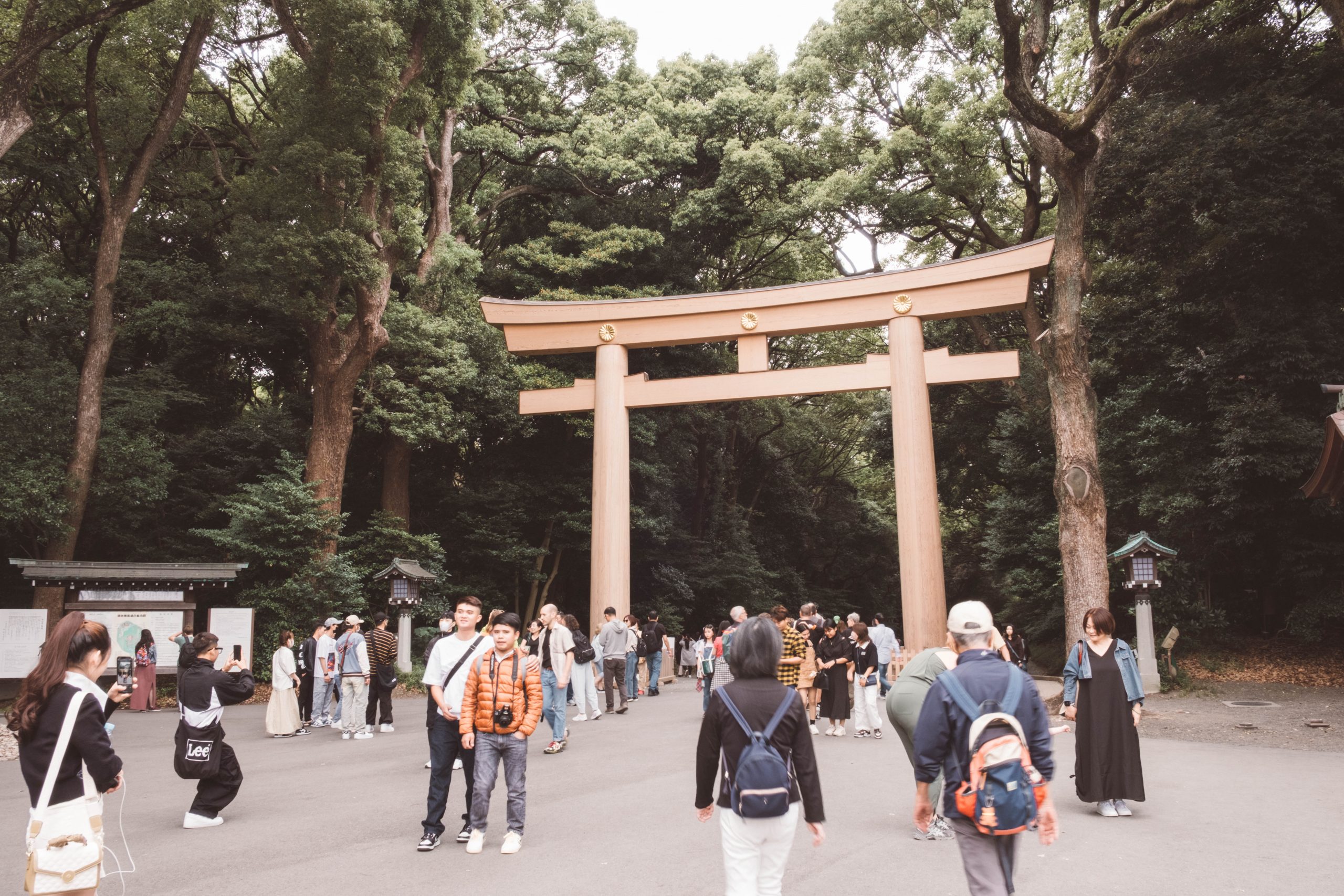 Main entrance at Meiji Jingu shrine Main entrance at Meiji Jingu shrine