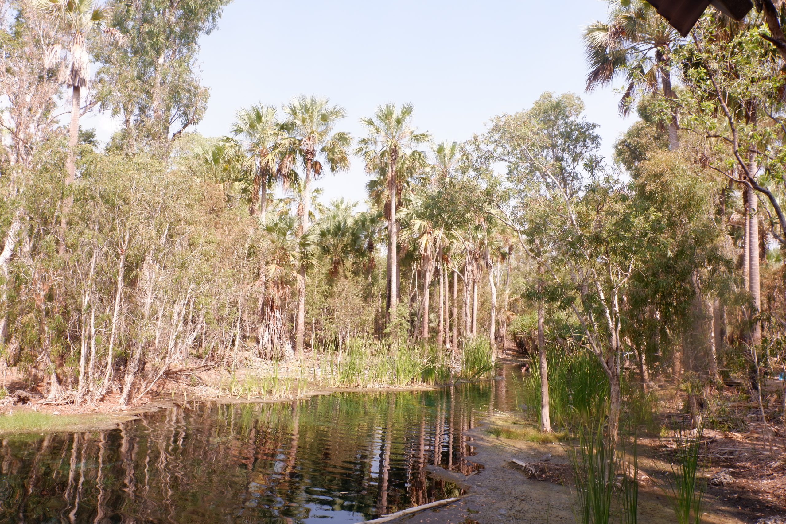 Mataranka Springs