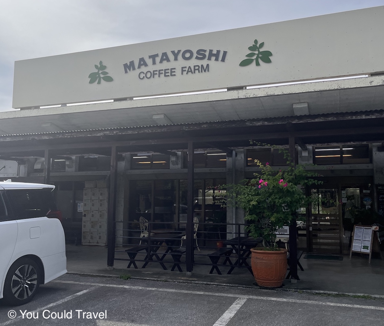 Matayoshi coffee farm in Okinawa