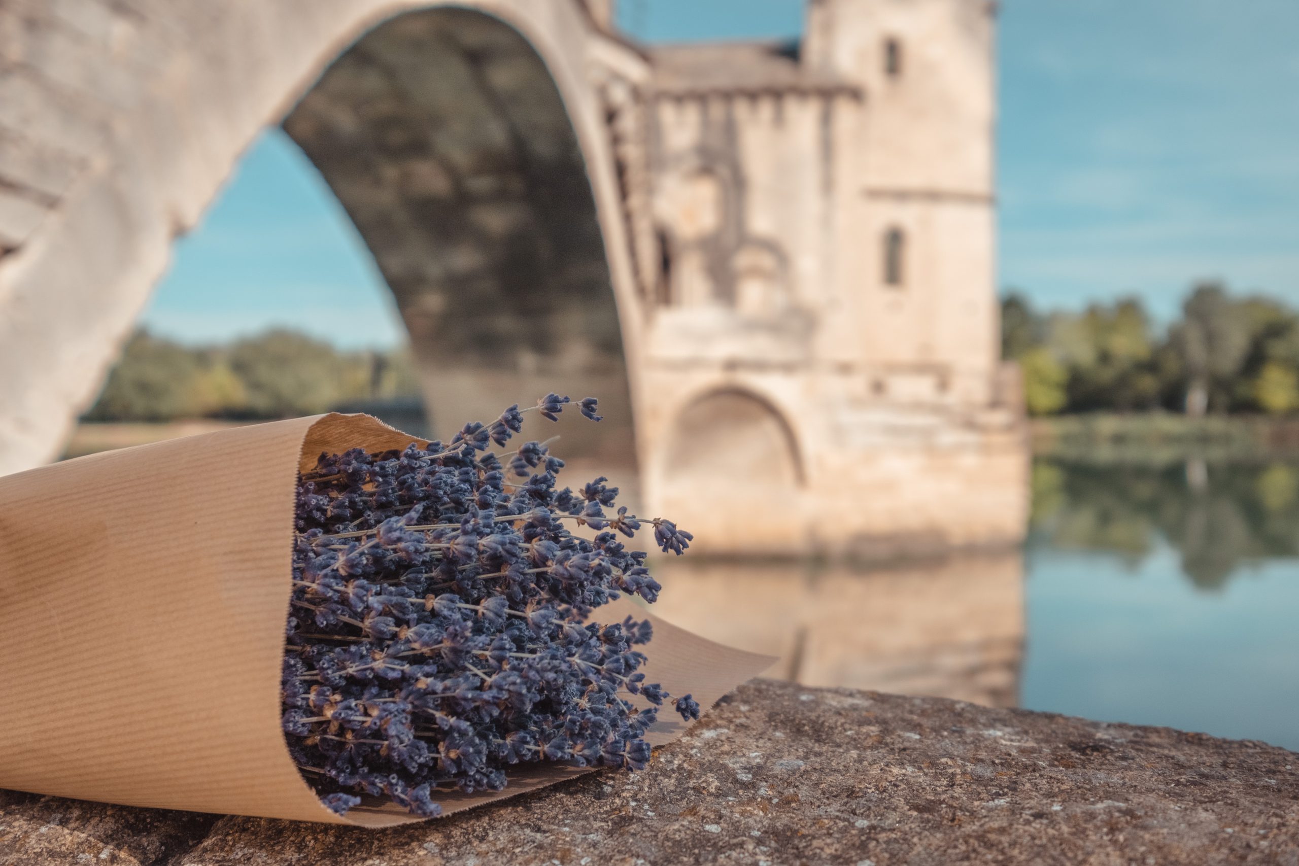 medieval bridge in avignon