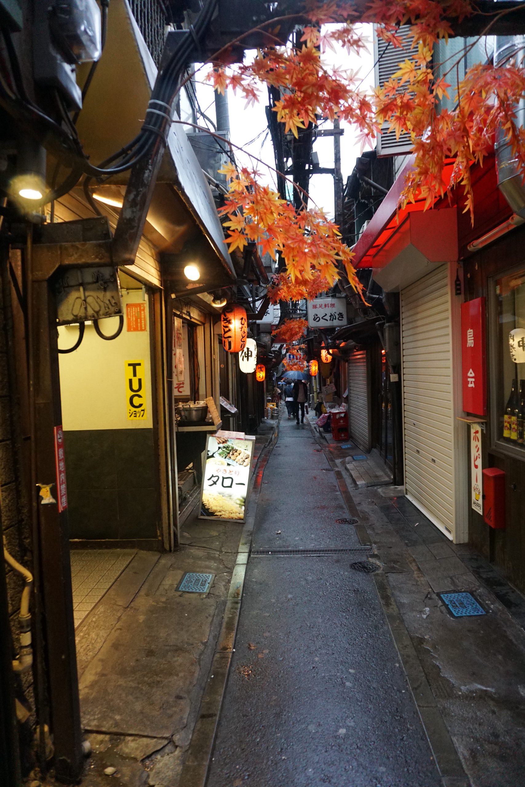 Memory Lane aka omoide yokocho in Tokyo Japan