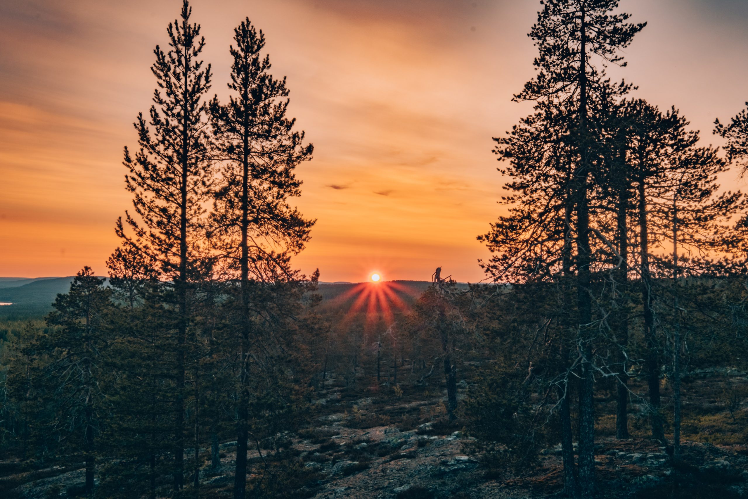 Midnight sun Rovaniemi