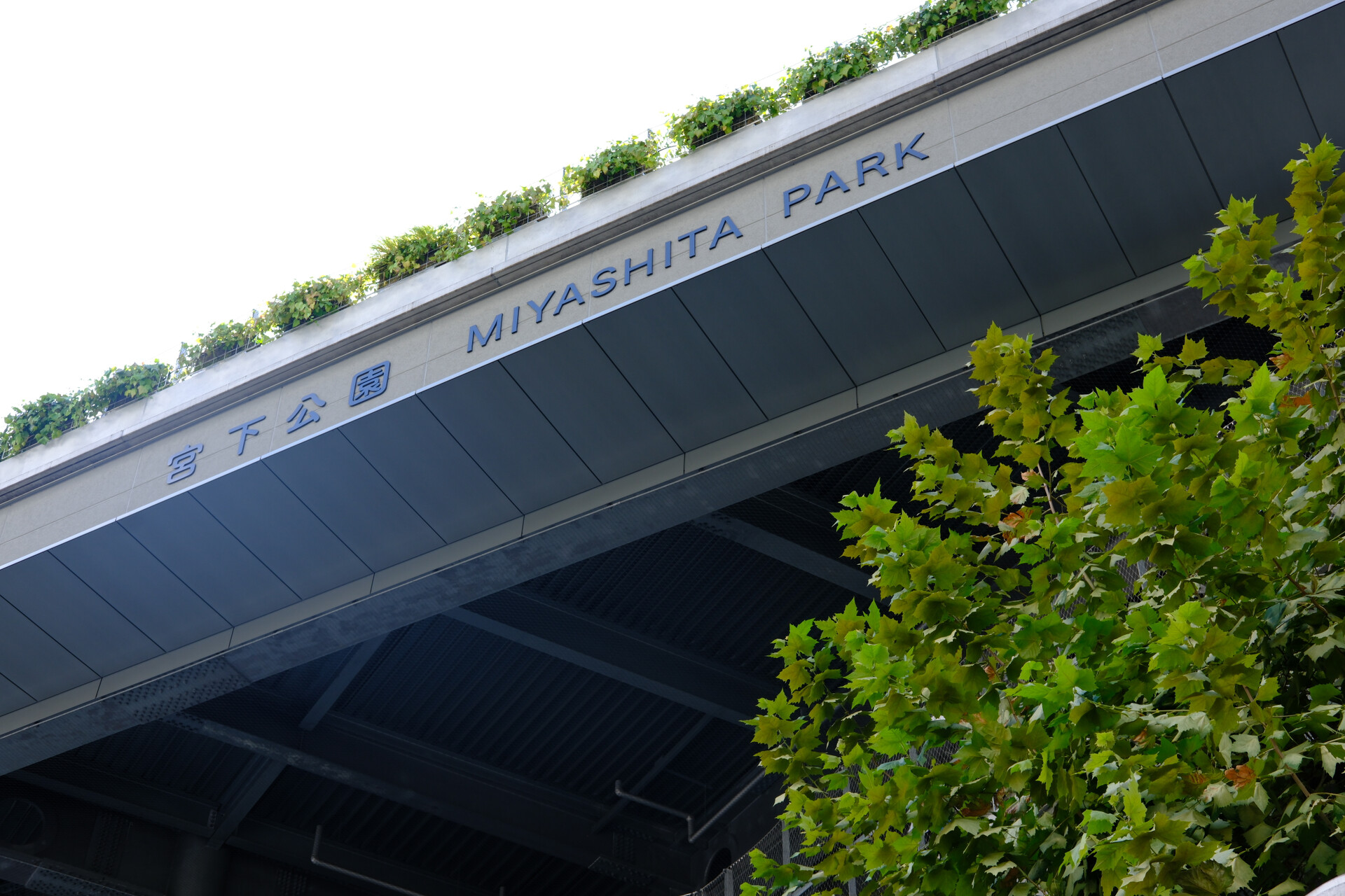 Miyashita Park Tokyo Miyashita Park Tokyo
