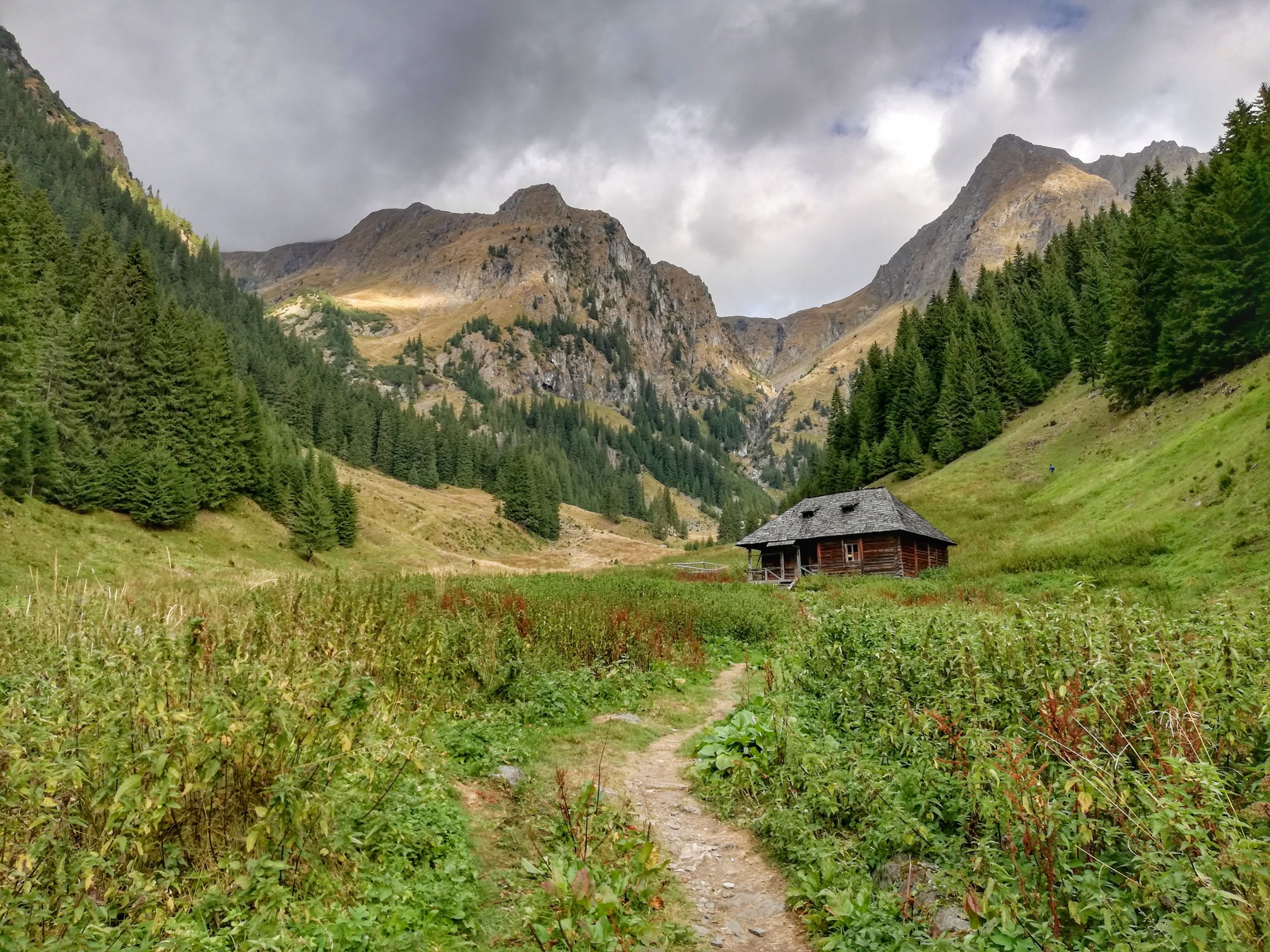 Moldoveanu peak from Transfagarasan