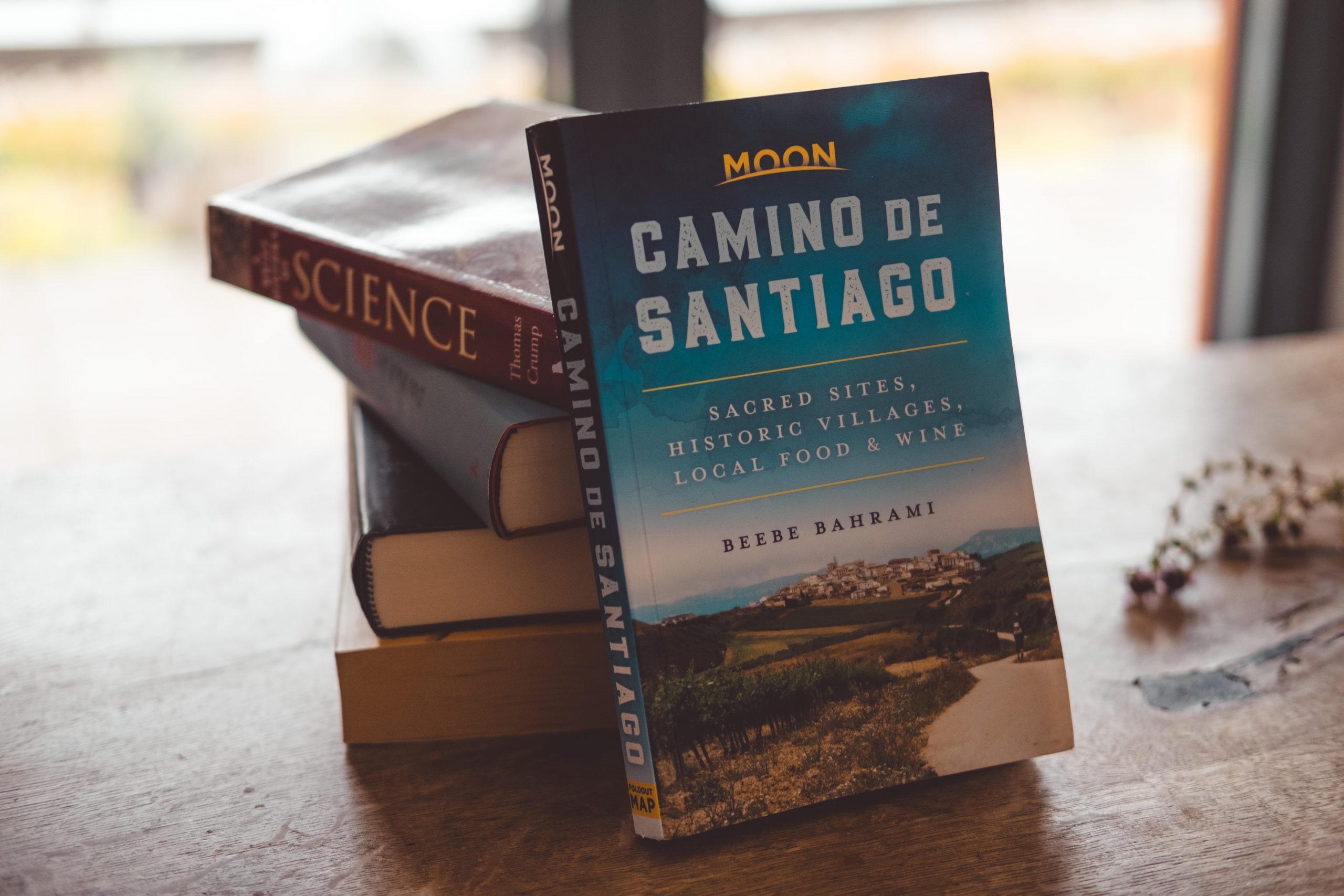 Moon Travel Guide for Camino de Santiago trek with several other books