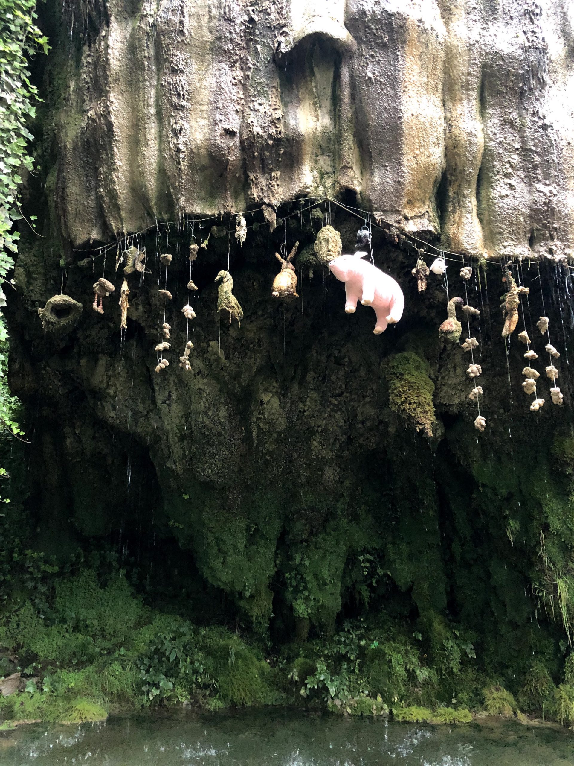 Mother Shipton Cave petrifying wall