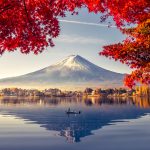 Colorful Autumn Season and Mountain Fuji with morning fog and red leaves at lake Kawaguchiko is one of the best places in Japan