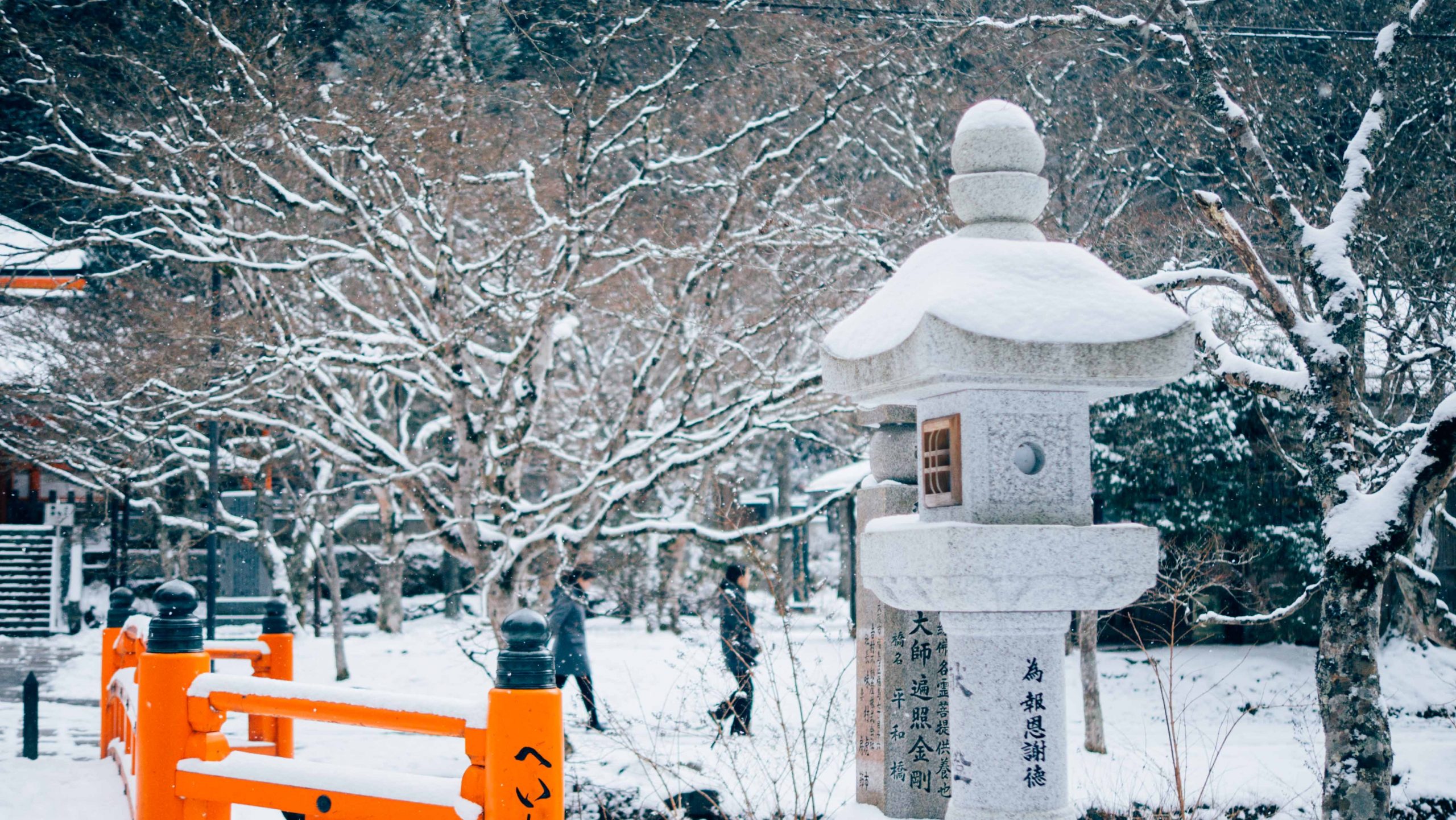 mount koya japan