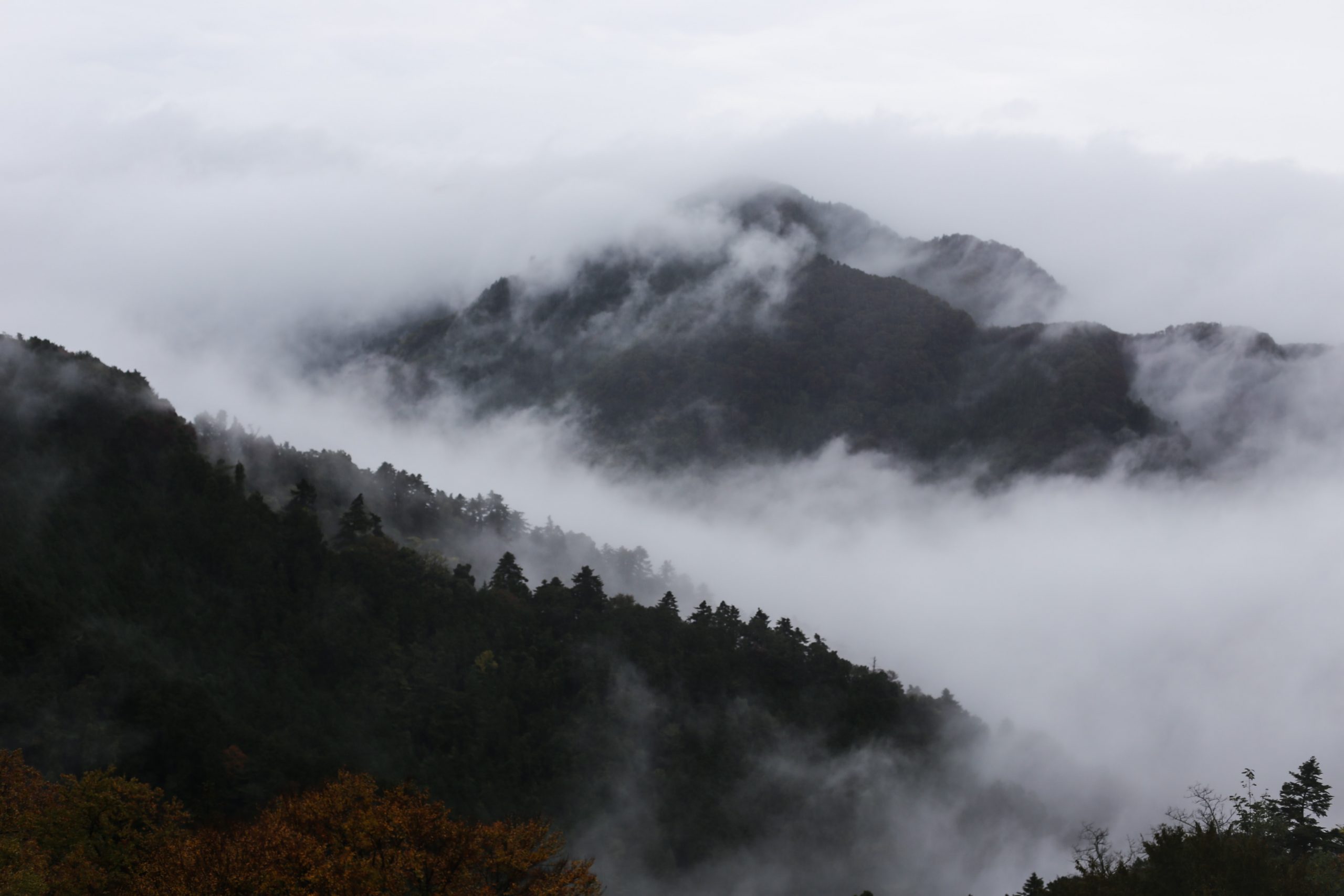 Mount Takao in Japan