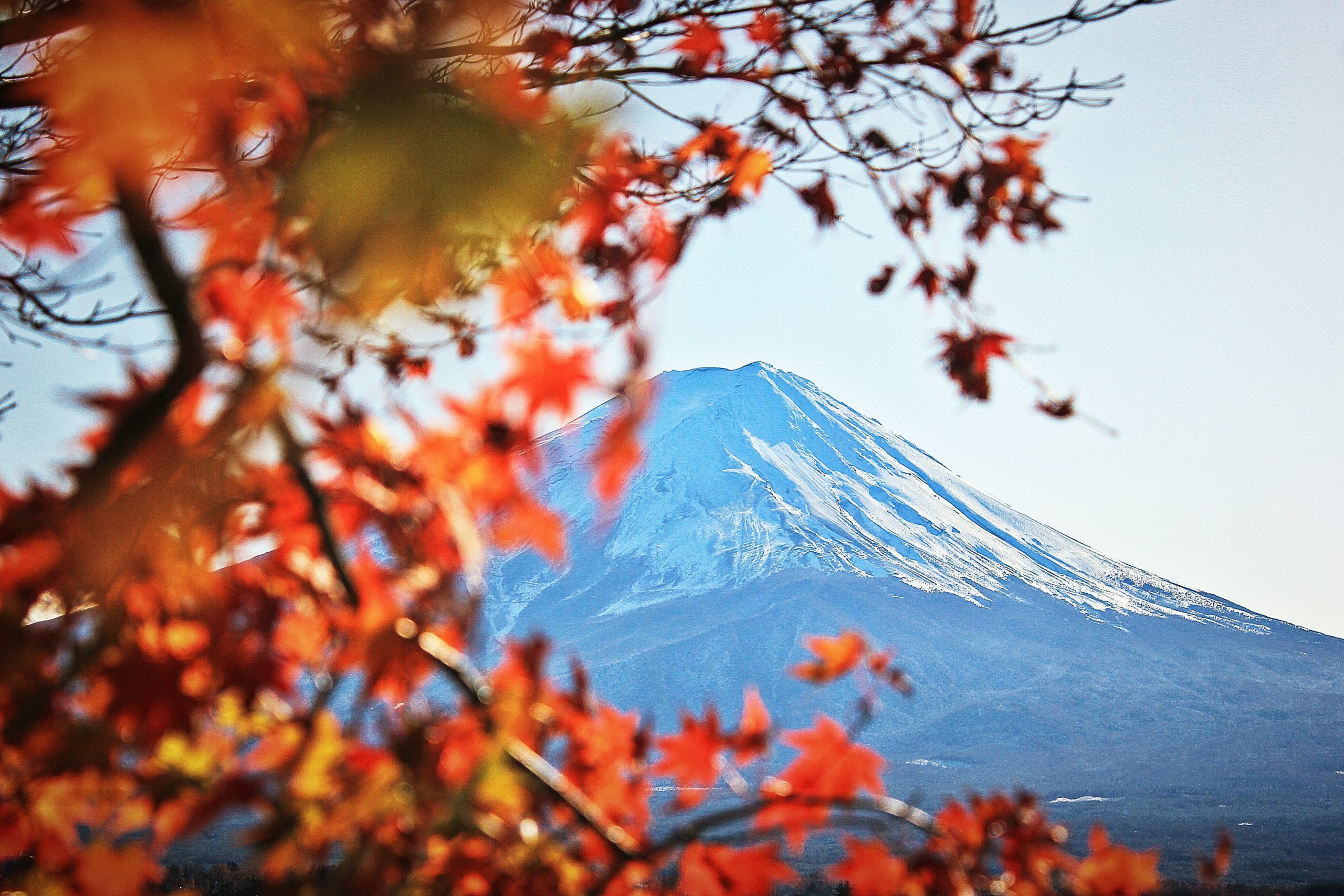Mt Fuji Autumn Colours (Credit Weiqi Xiong)