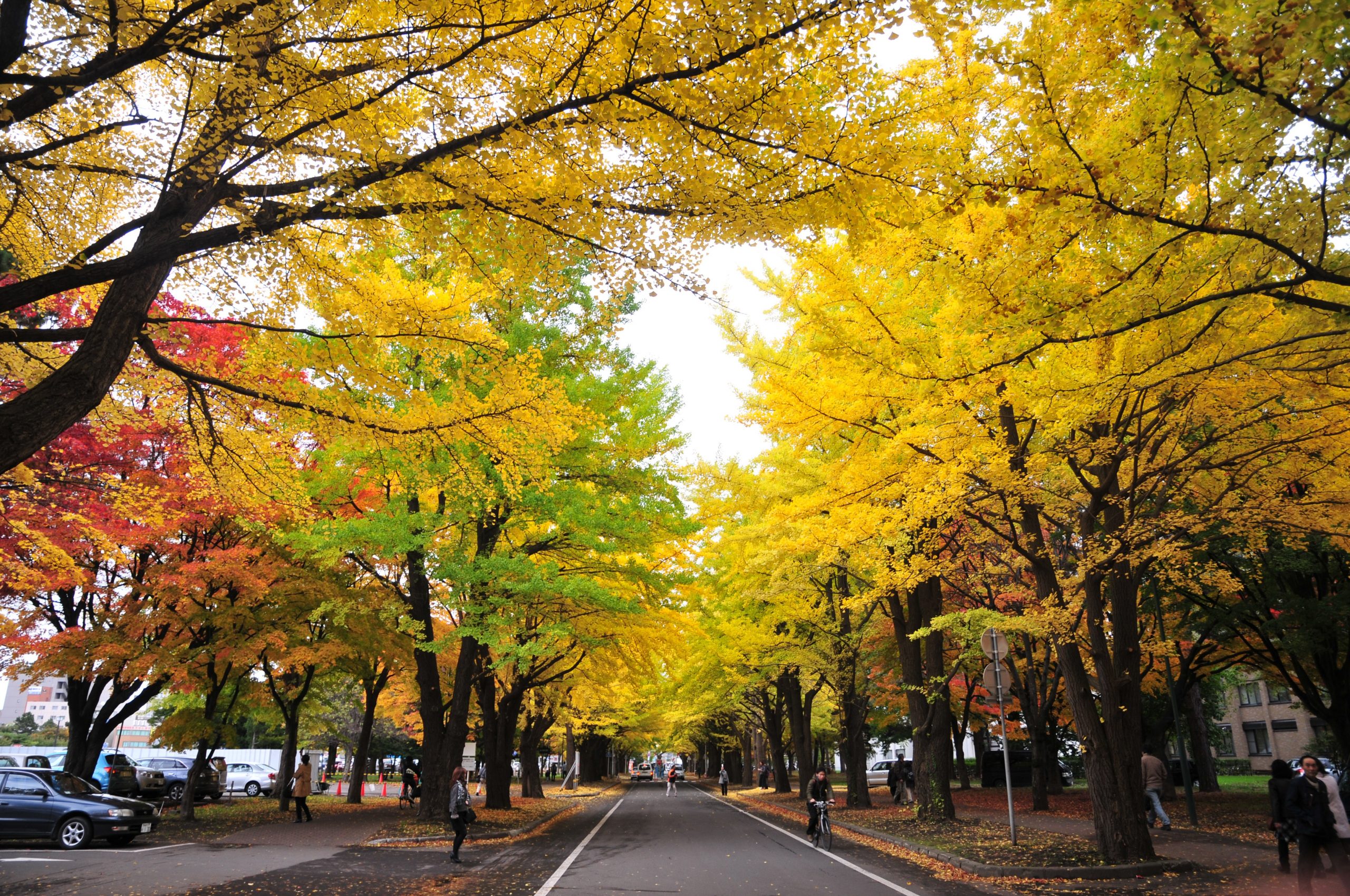 Nakajima Park is the ideal place to stay for couples and nature lovers