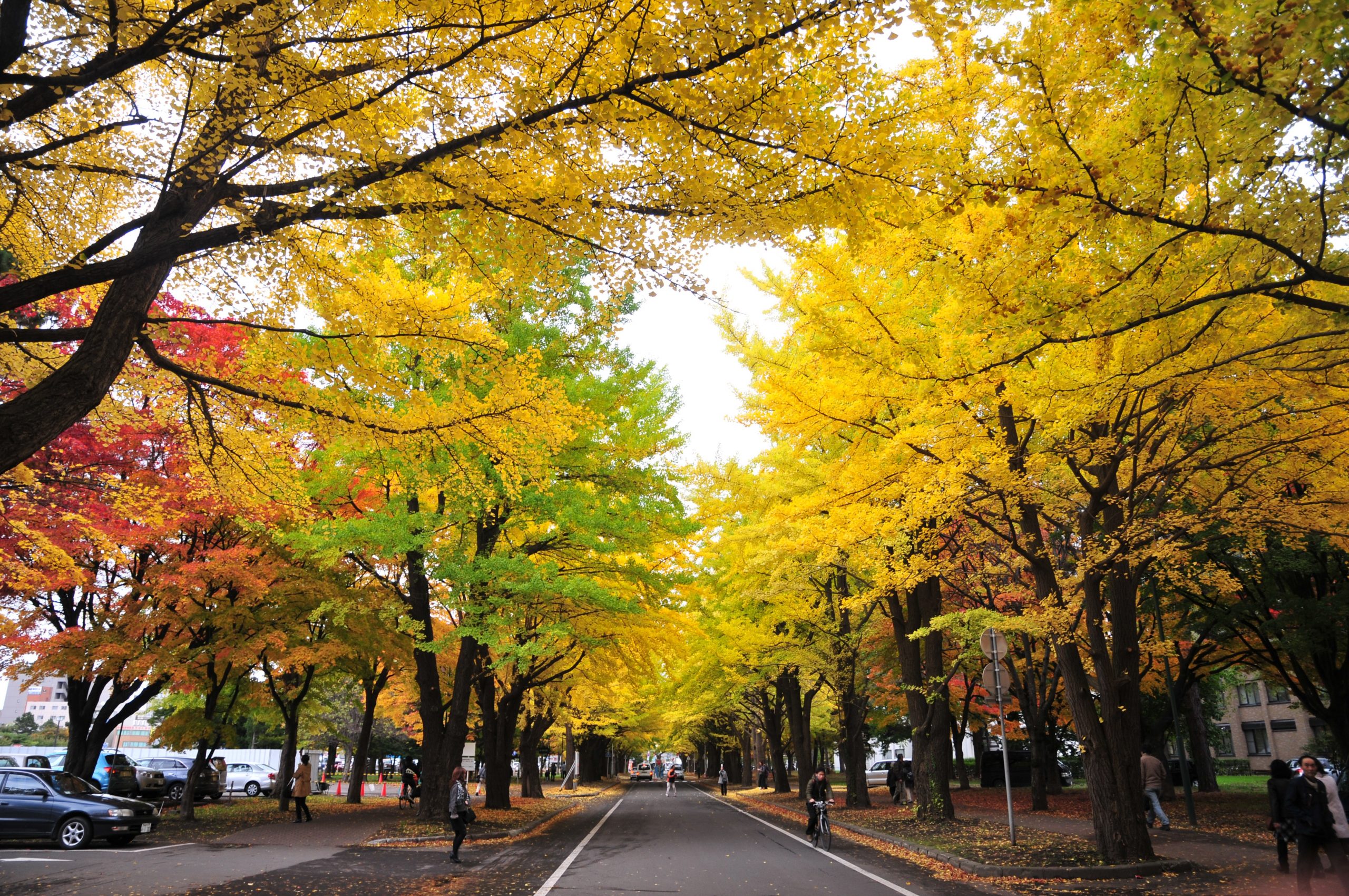 Nakajima Park is the ideal place to stay for couples and nature lovers Nakajima Park is the ideal place to stay for couples and nature lovers