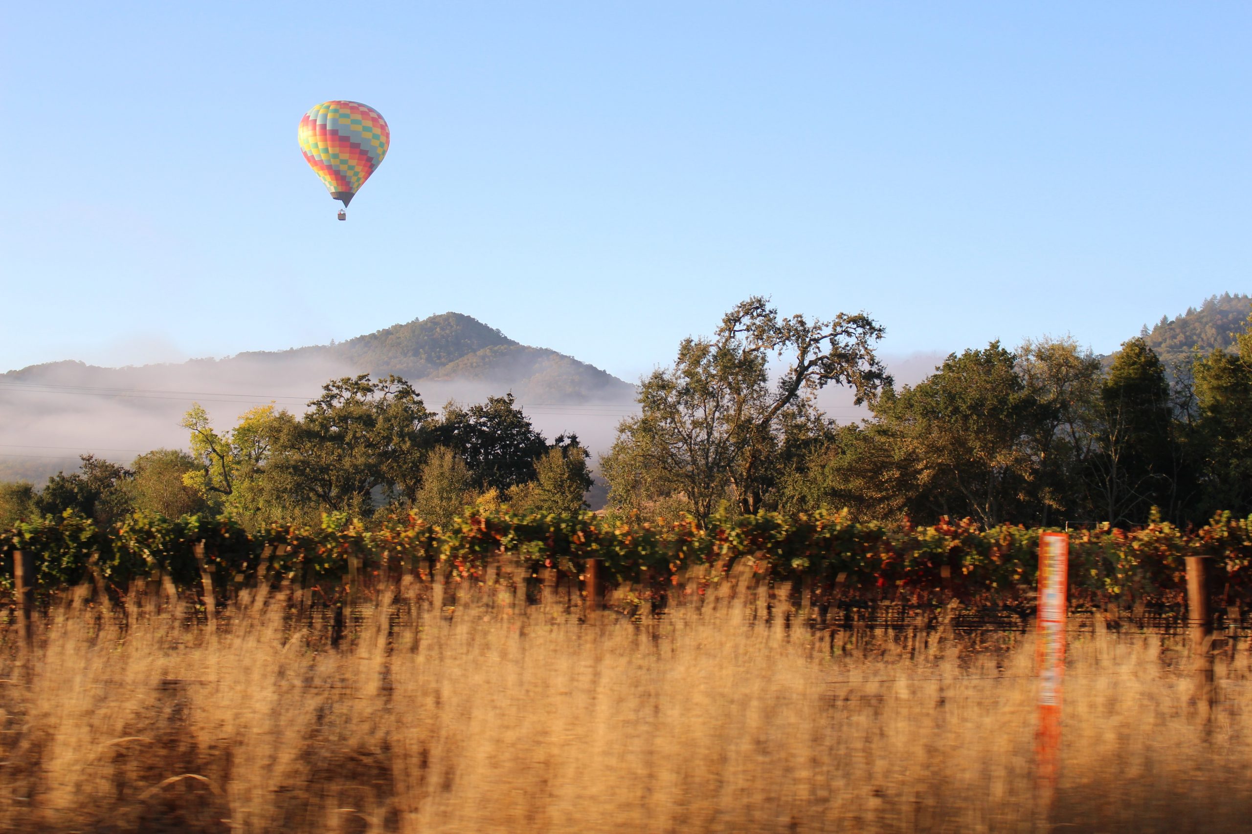 Napa Valley in California