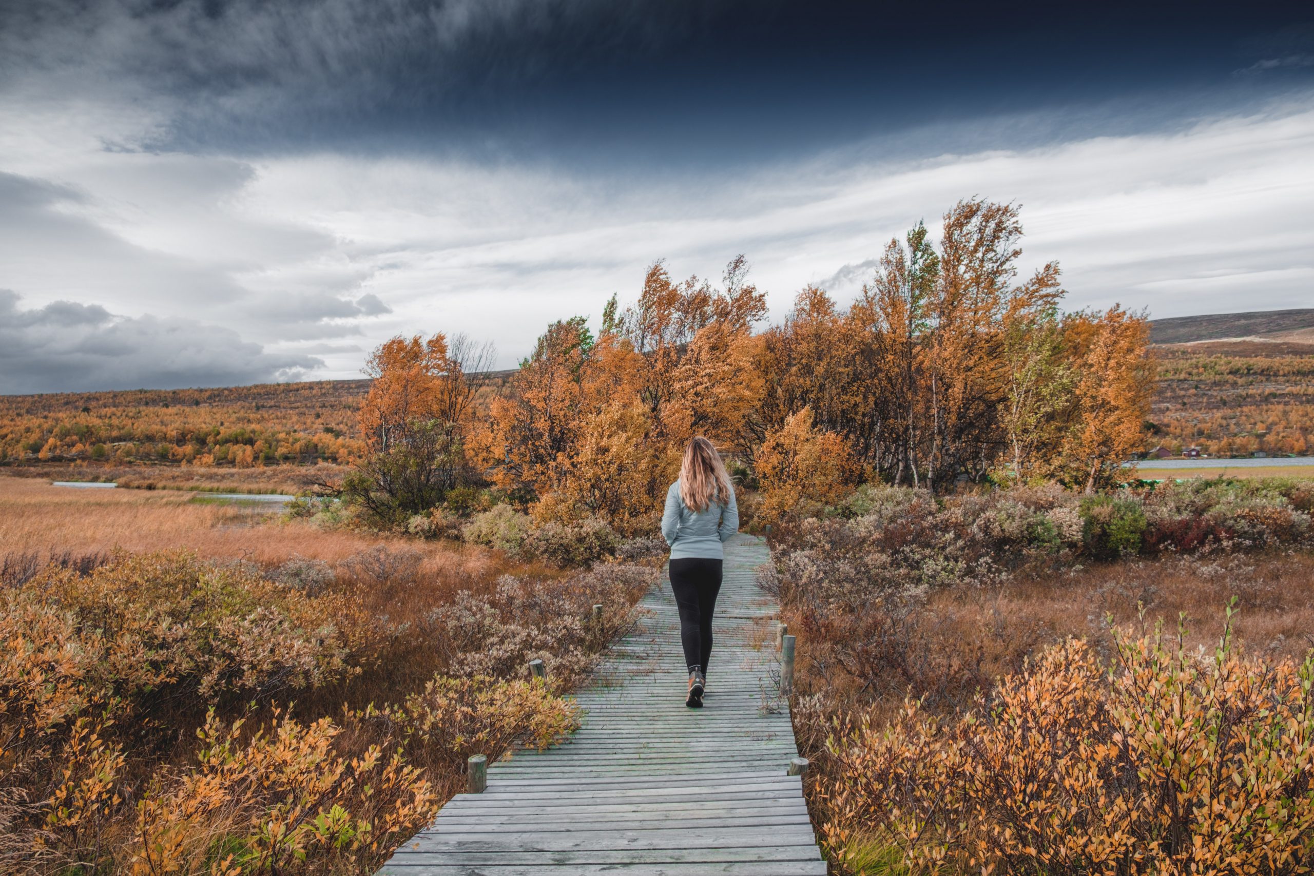 National Park Norway