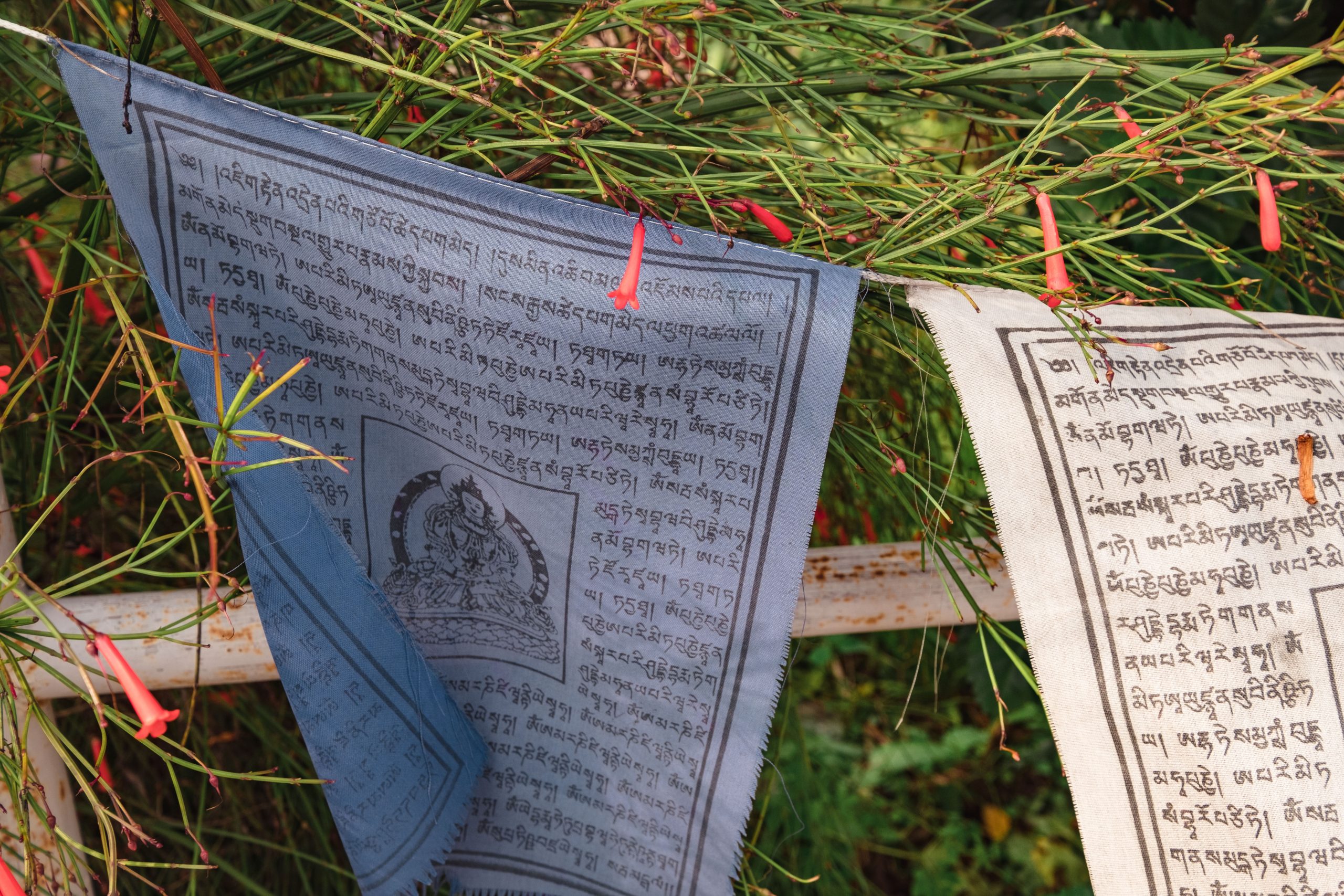 Nepali flags in the grass