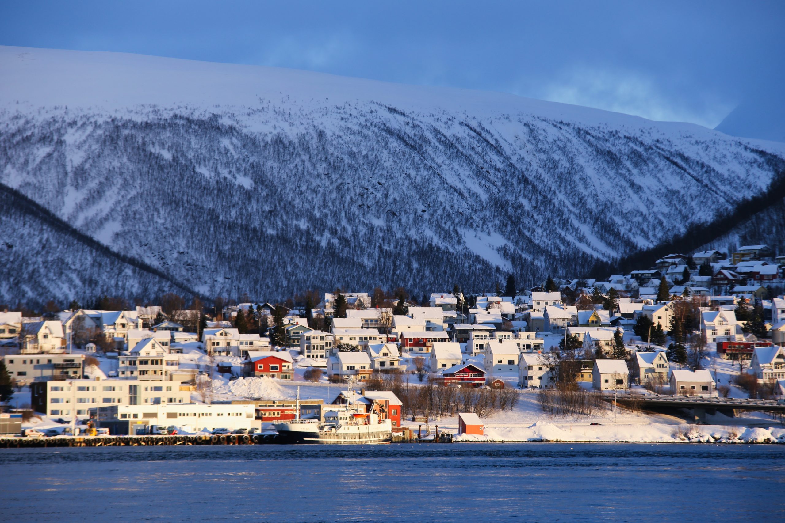 newfoundland Canada