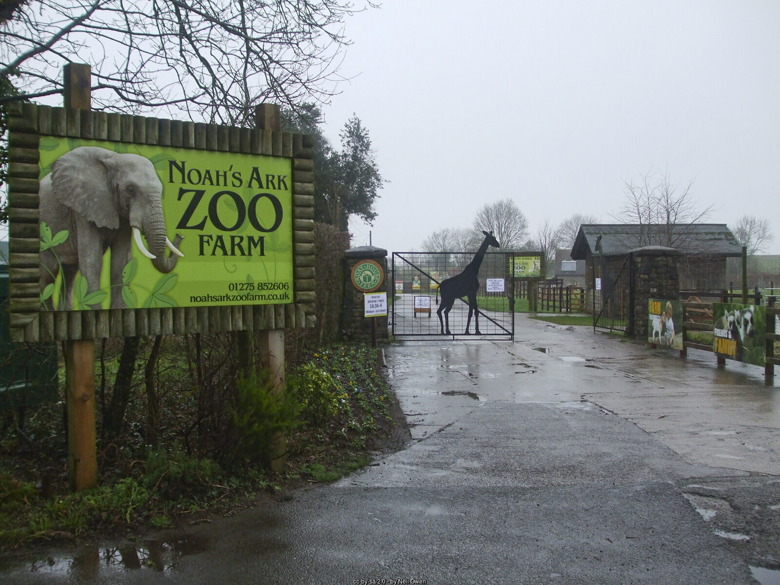 Noah's ark zoo farm Noah's ark zoo farm