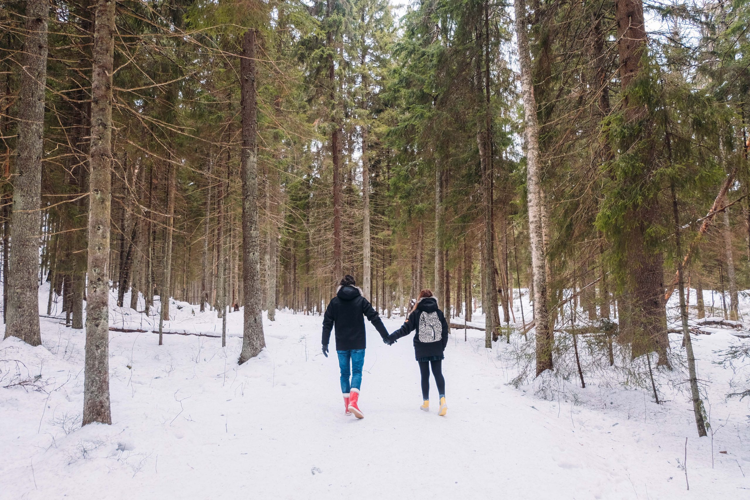 Nuuksio National Park