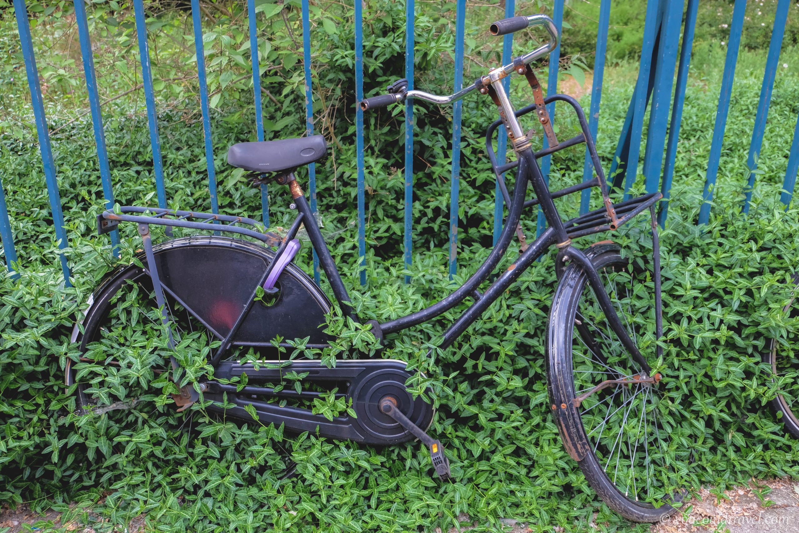 Old Bike Amsterdam Photography
