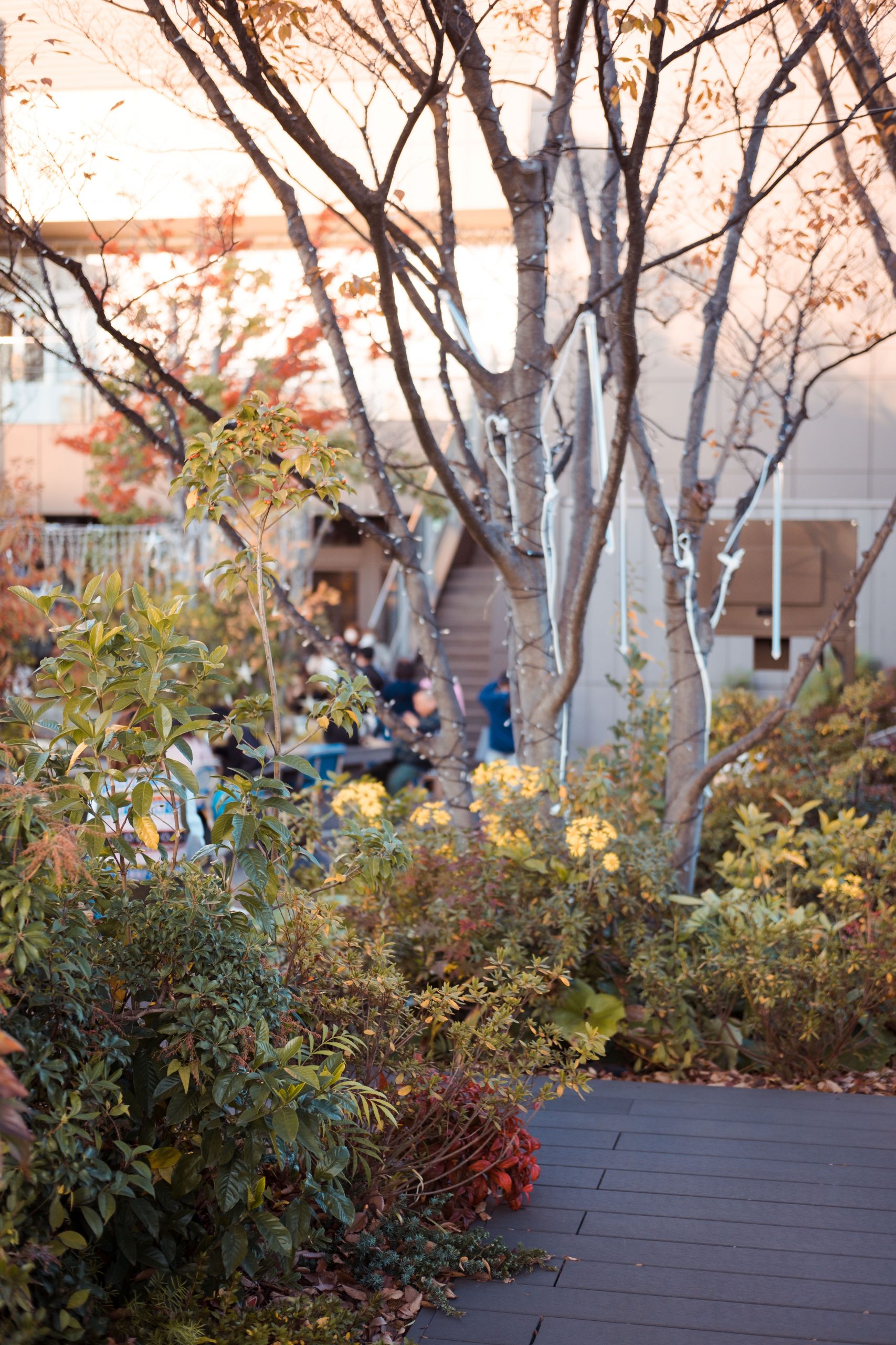 Omohara Forest Tokyu Plaza