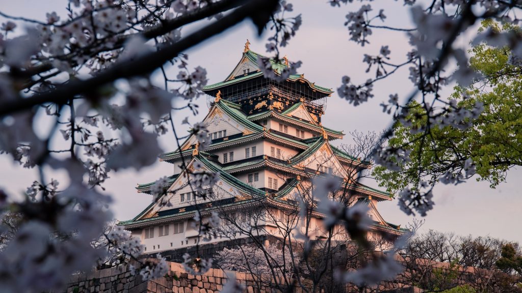 Osaka Castle during the cherry blossom season