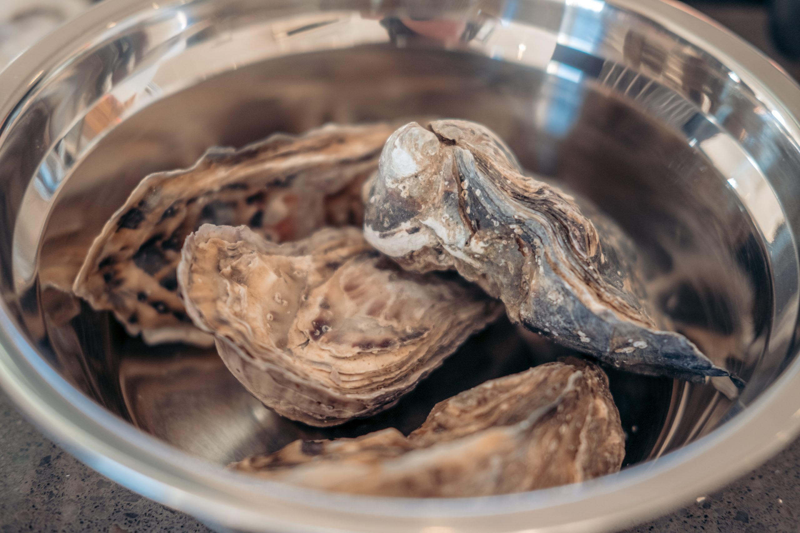Oysters ready to be ready and eaten in a bowl