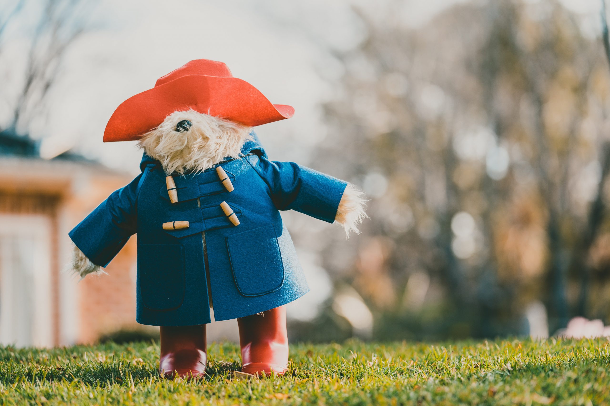 Paddington Bear in London