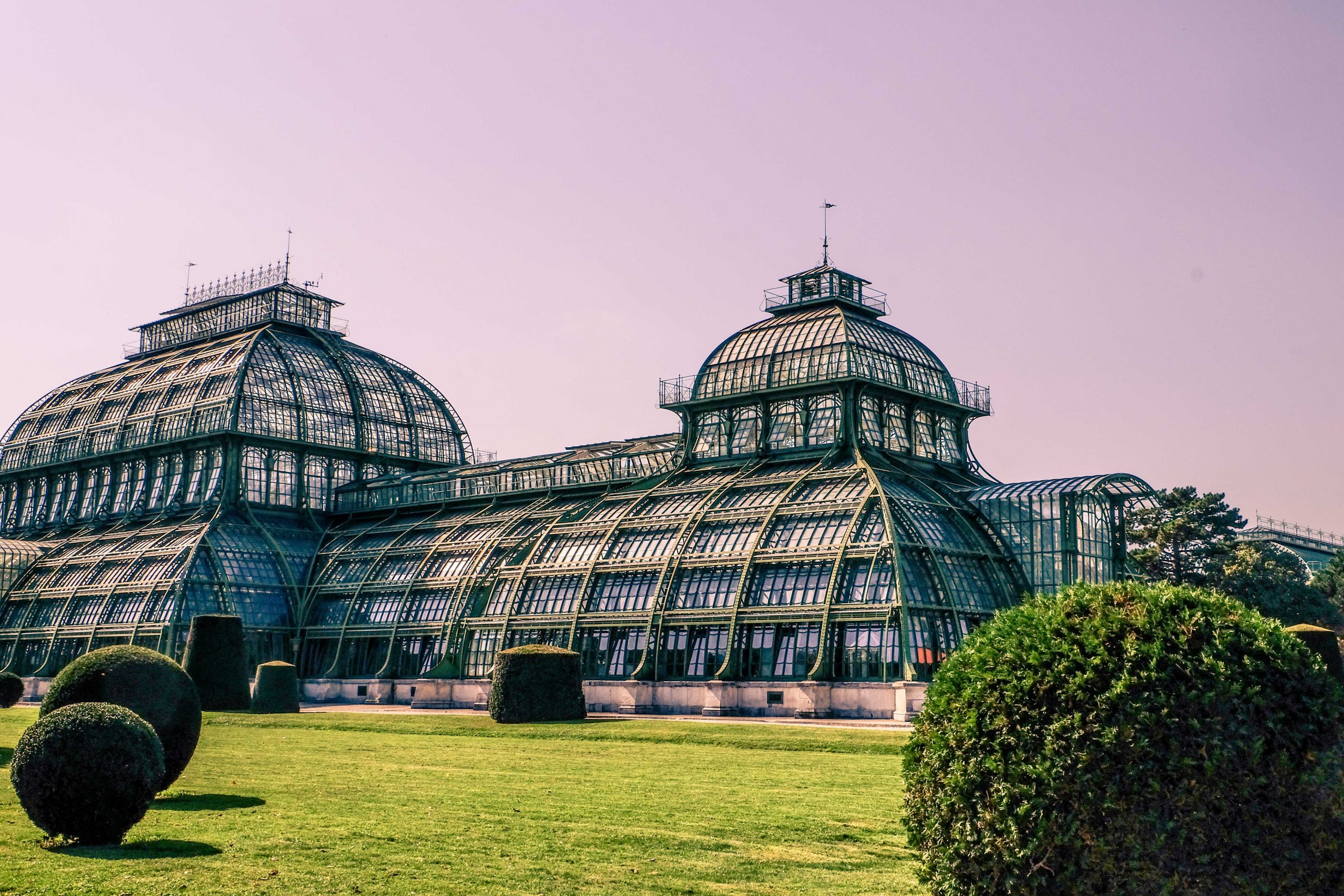 Palm House Schönbrunn Palace Vienna