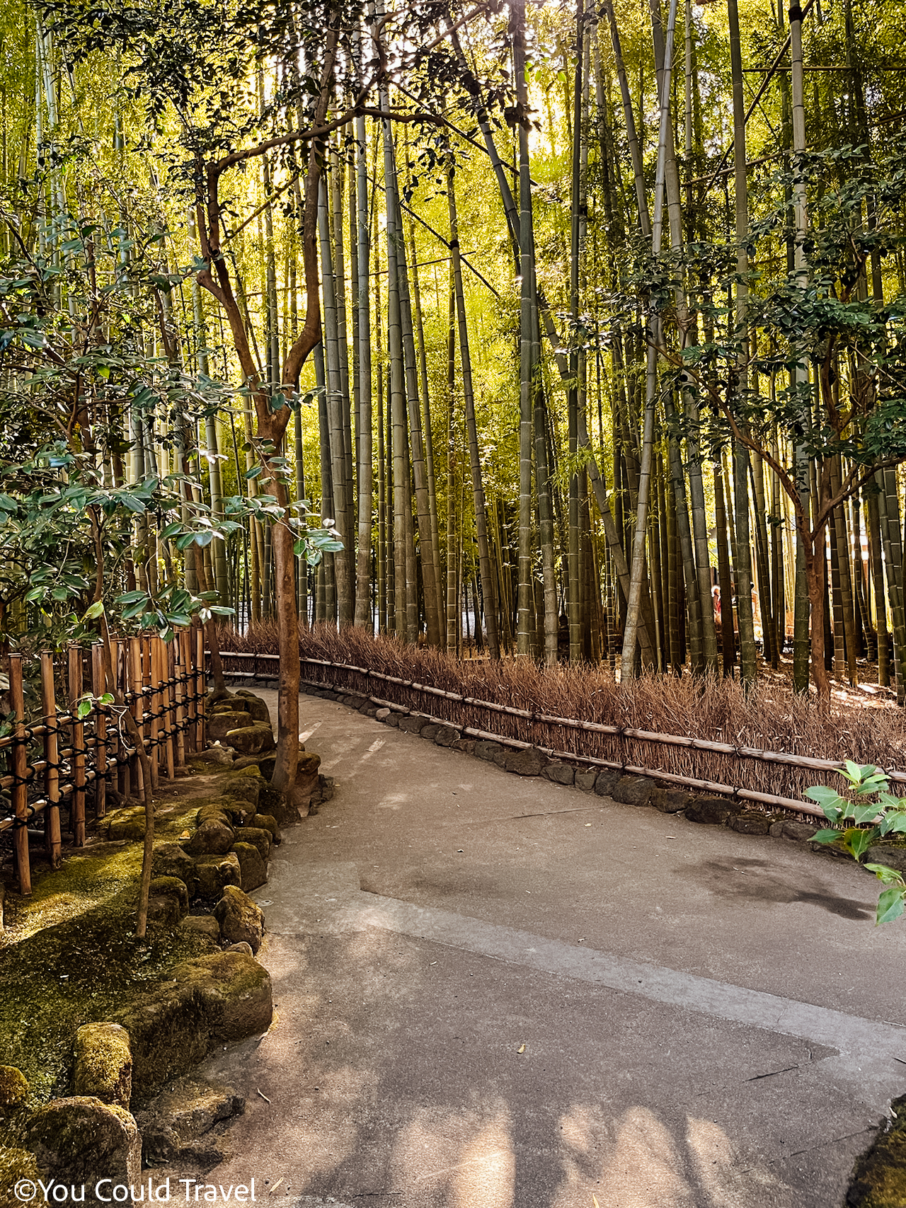 Pathway lined with bamboos at hokokuji temple Kamakura