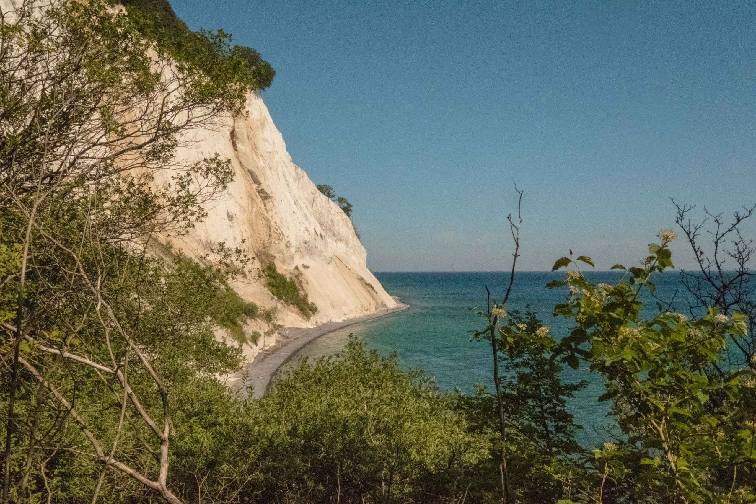 Mons Klint White Cliffs in Denmark