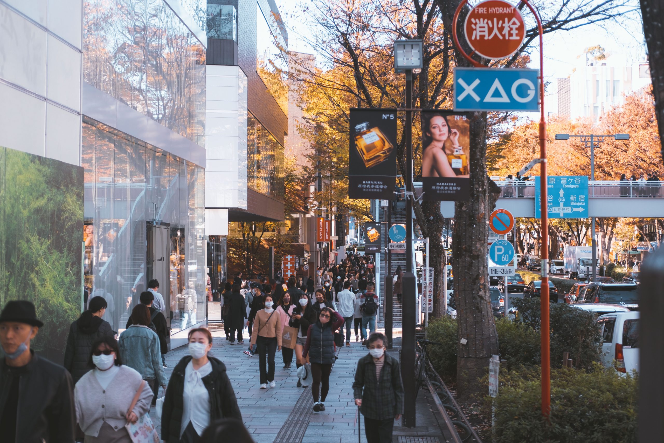 People walking on Omotesando avenue in Tokyo