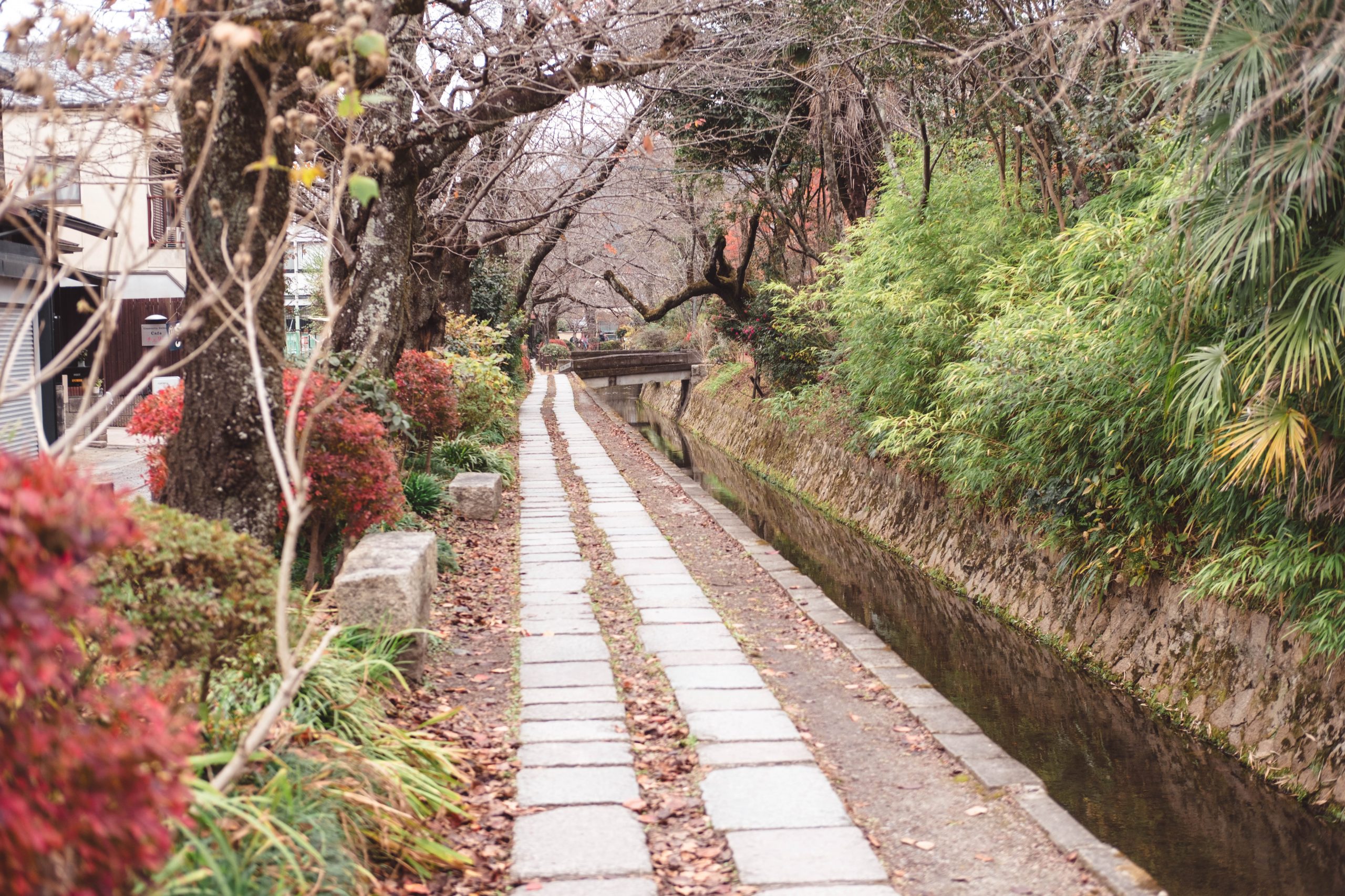 Philosopher's Path Kyoto, Late Autumn Colours