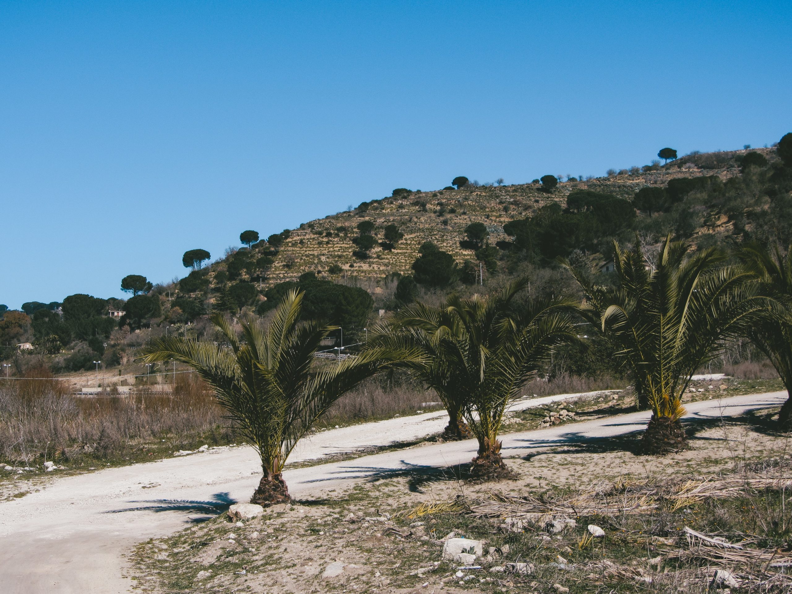 Piazza Armerina landscape near Villa Romana del Casale