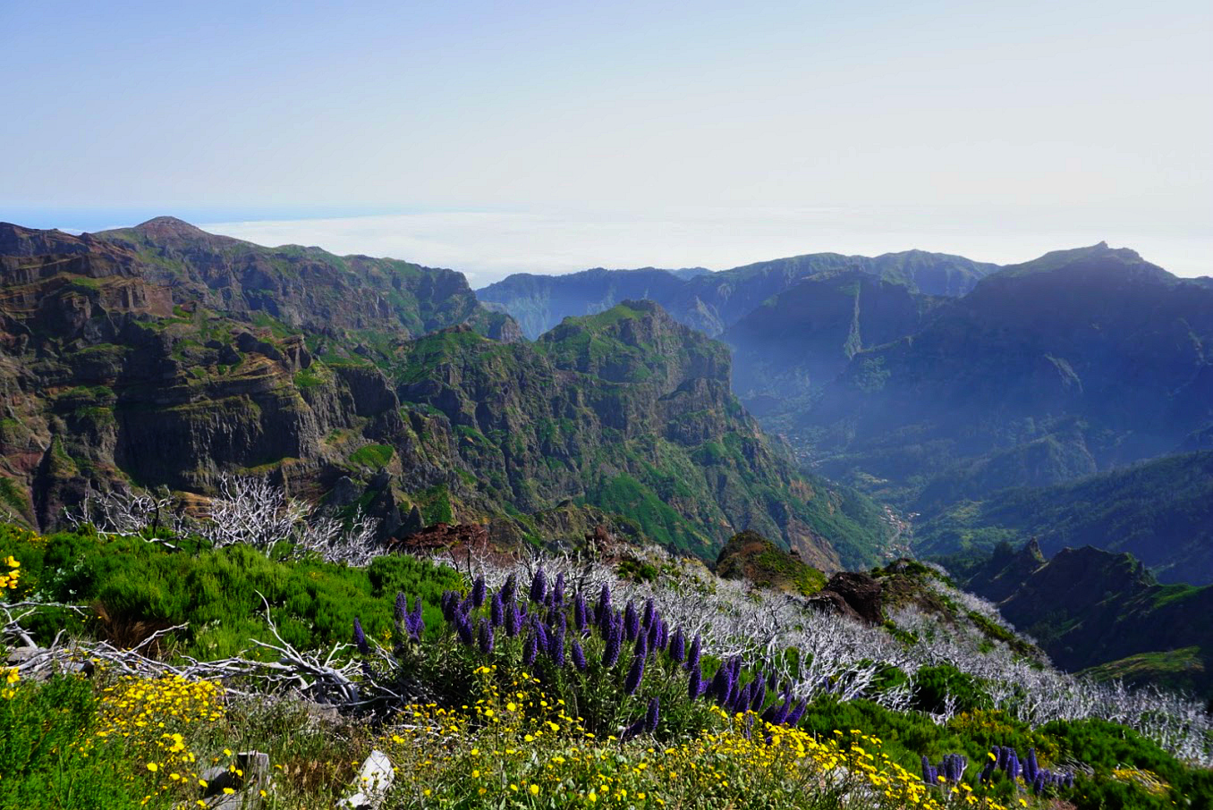 Pico Ruivo Madeira Cliffs Top