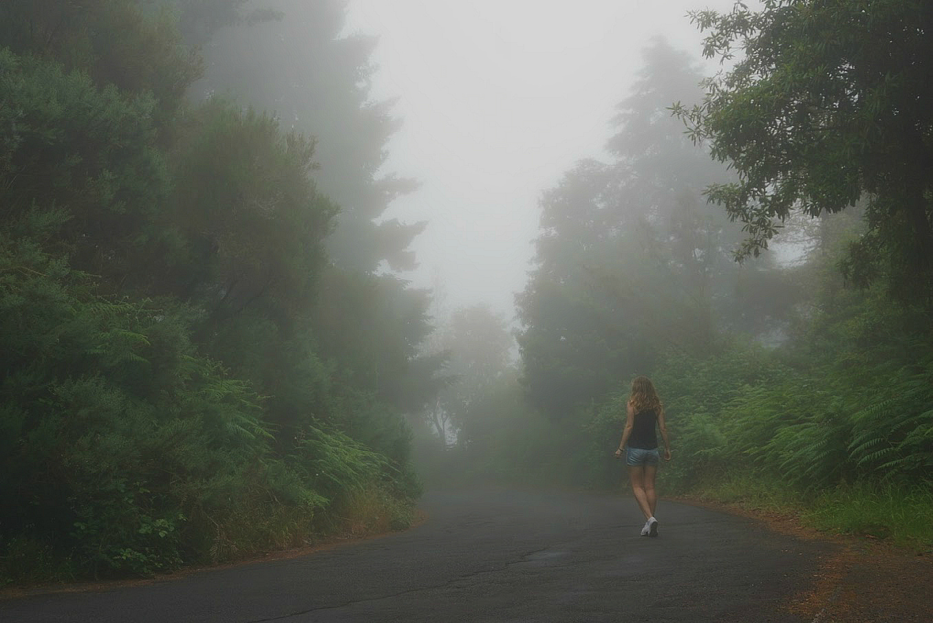 Pico Ruivo Madeira Cory Fog 