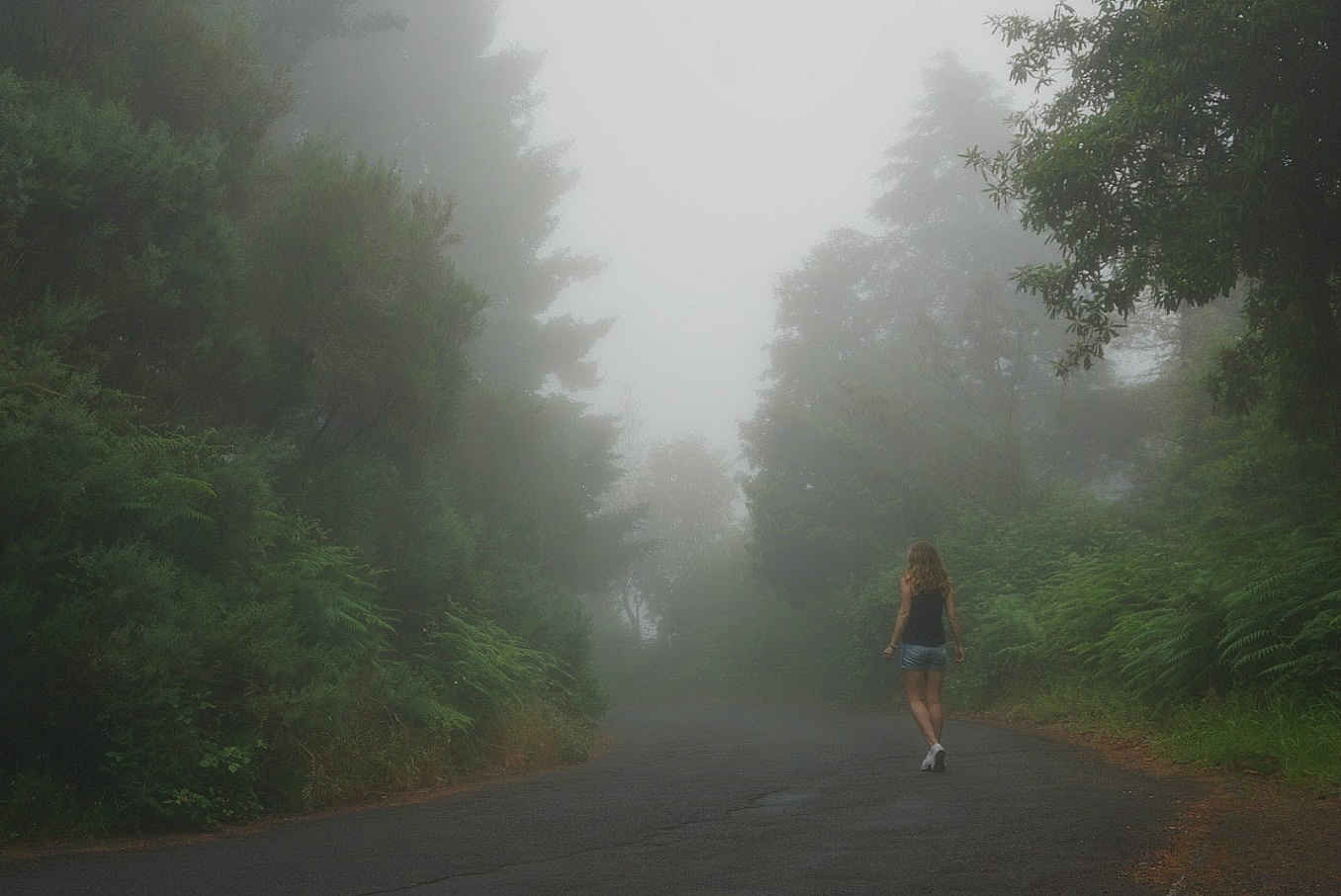 Pico Ruivo Madeira Cory Fog Pico Ruivo Madeira Cory Fog