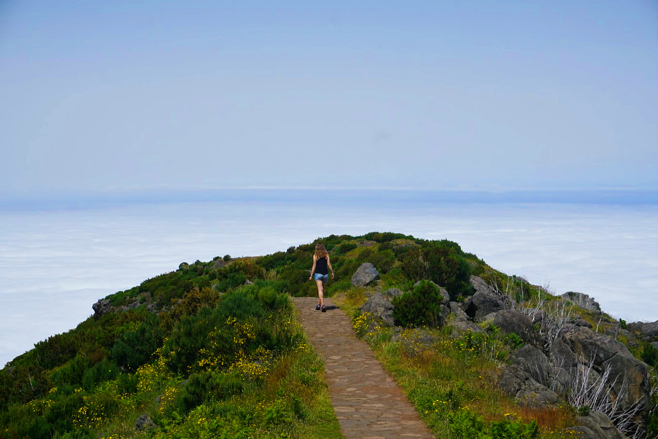 Pico Ruivo Madeira Cory Hiking Path Edge Pico Ruivo Madeira Cory Hiking Path Edge