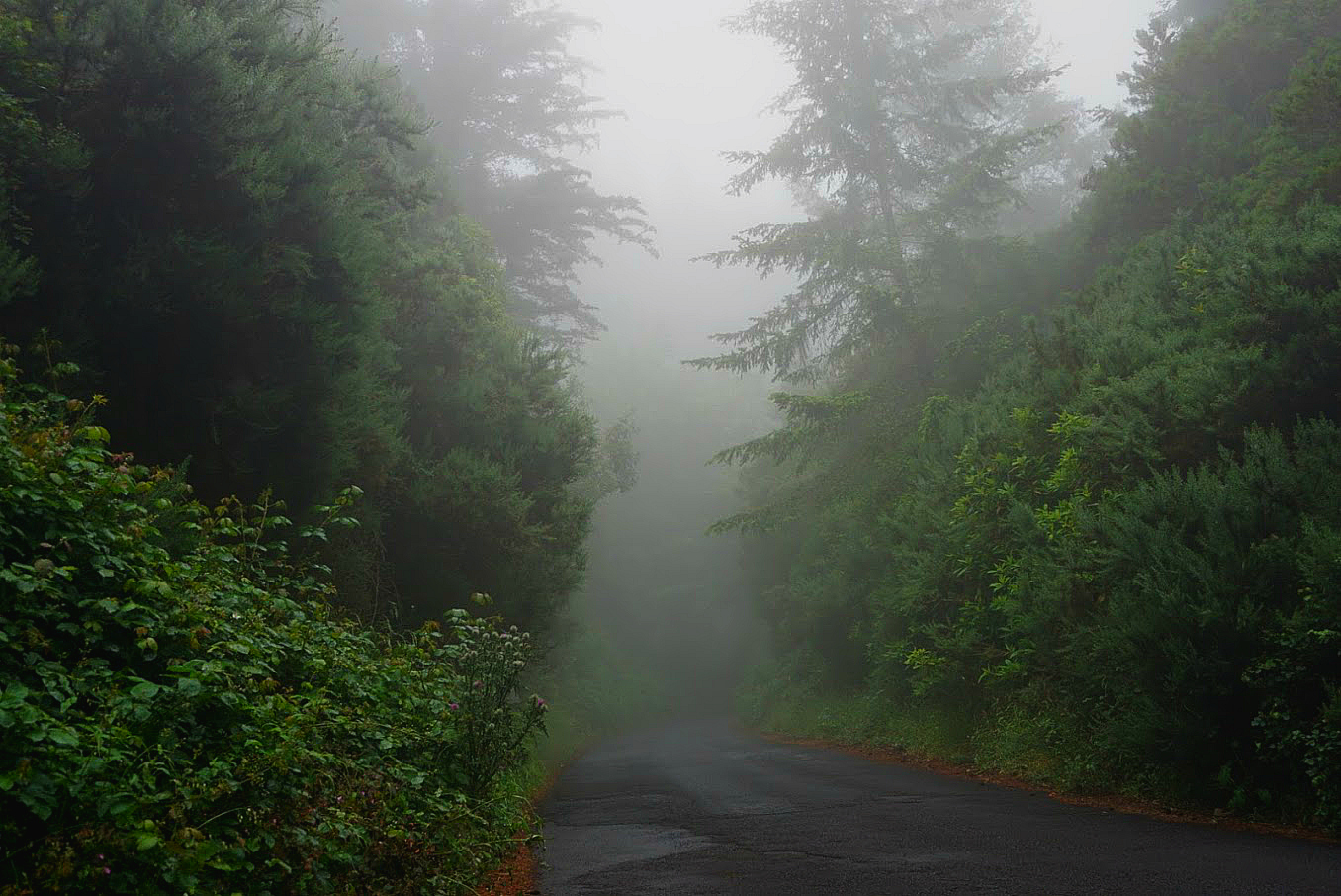 Pico Ruivo Madeira Drive Fog